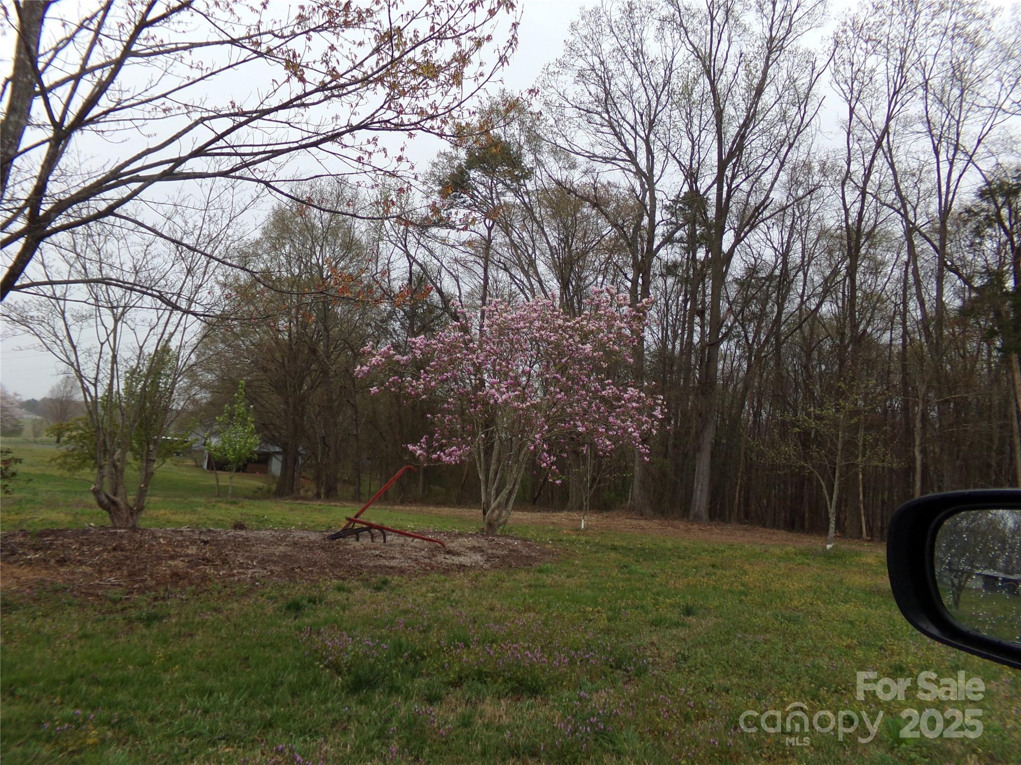 Photo #28