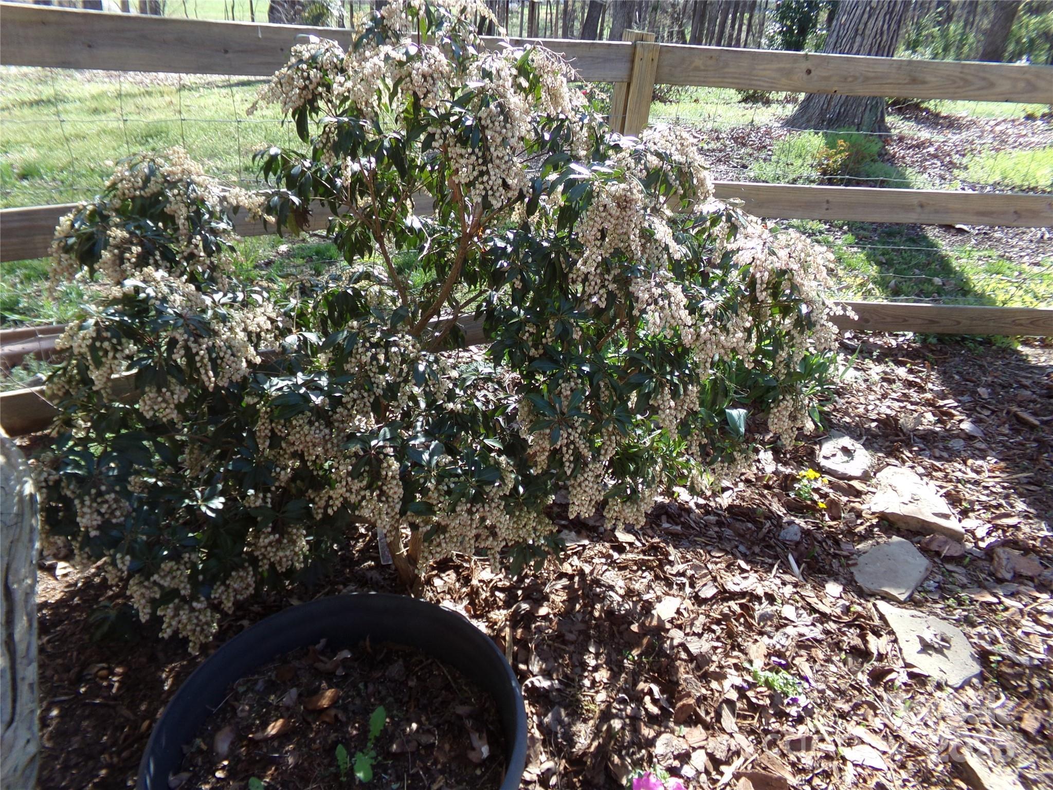 Photo #42