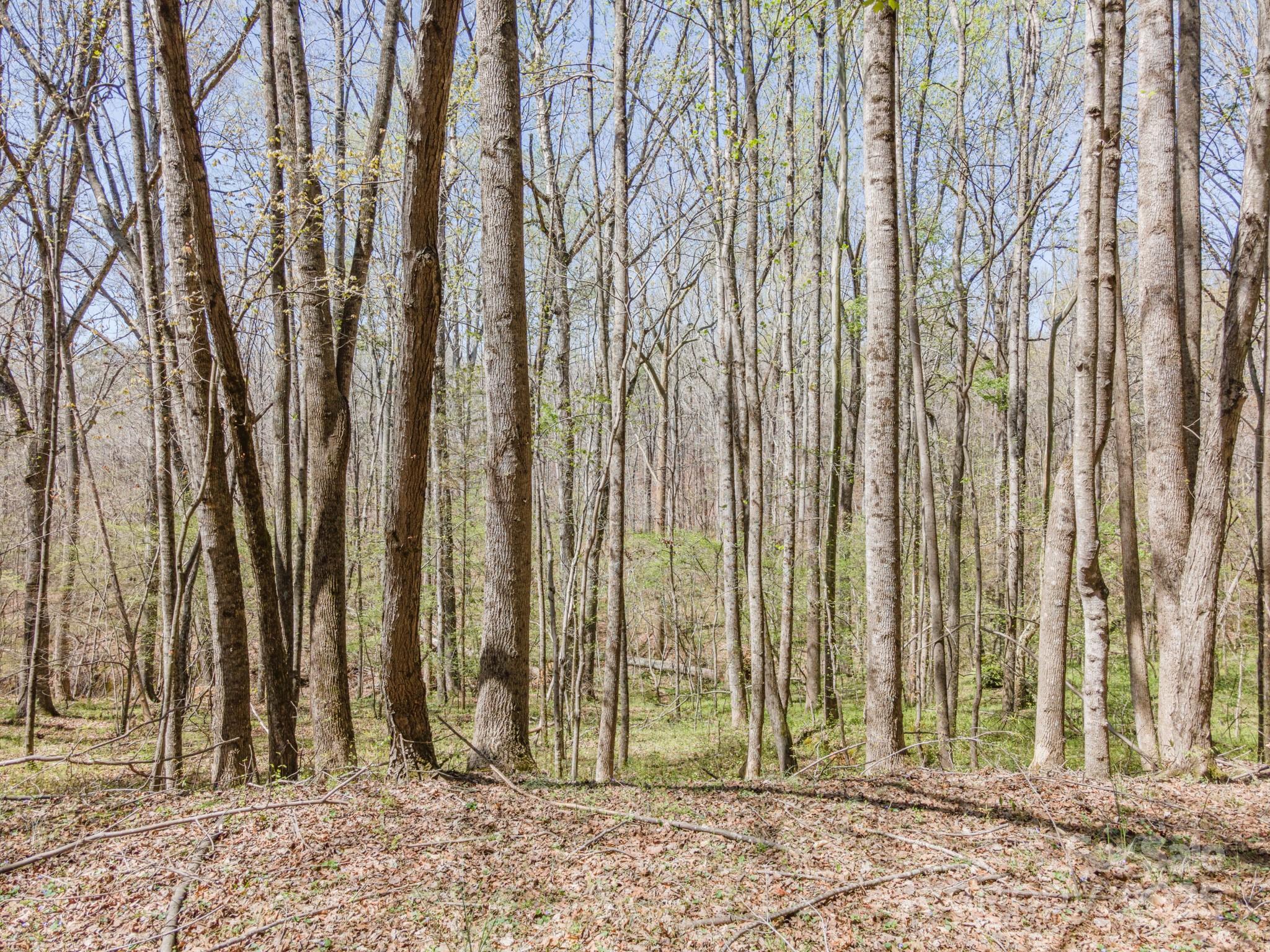 Photo #24