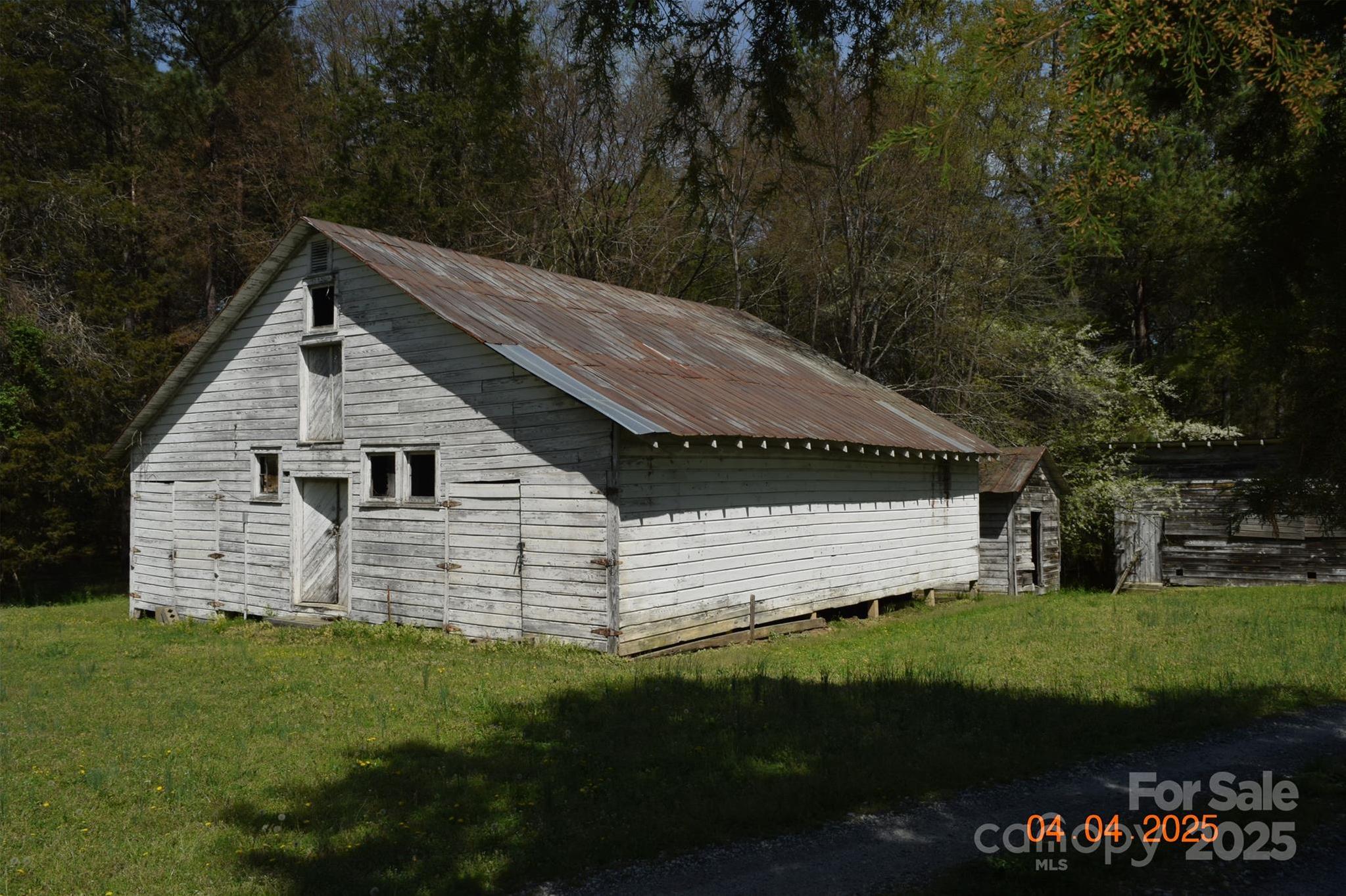 Photo #4