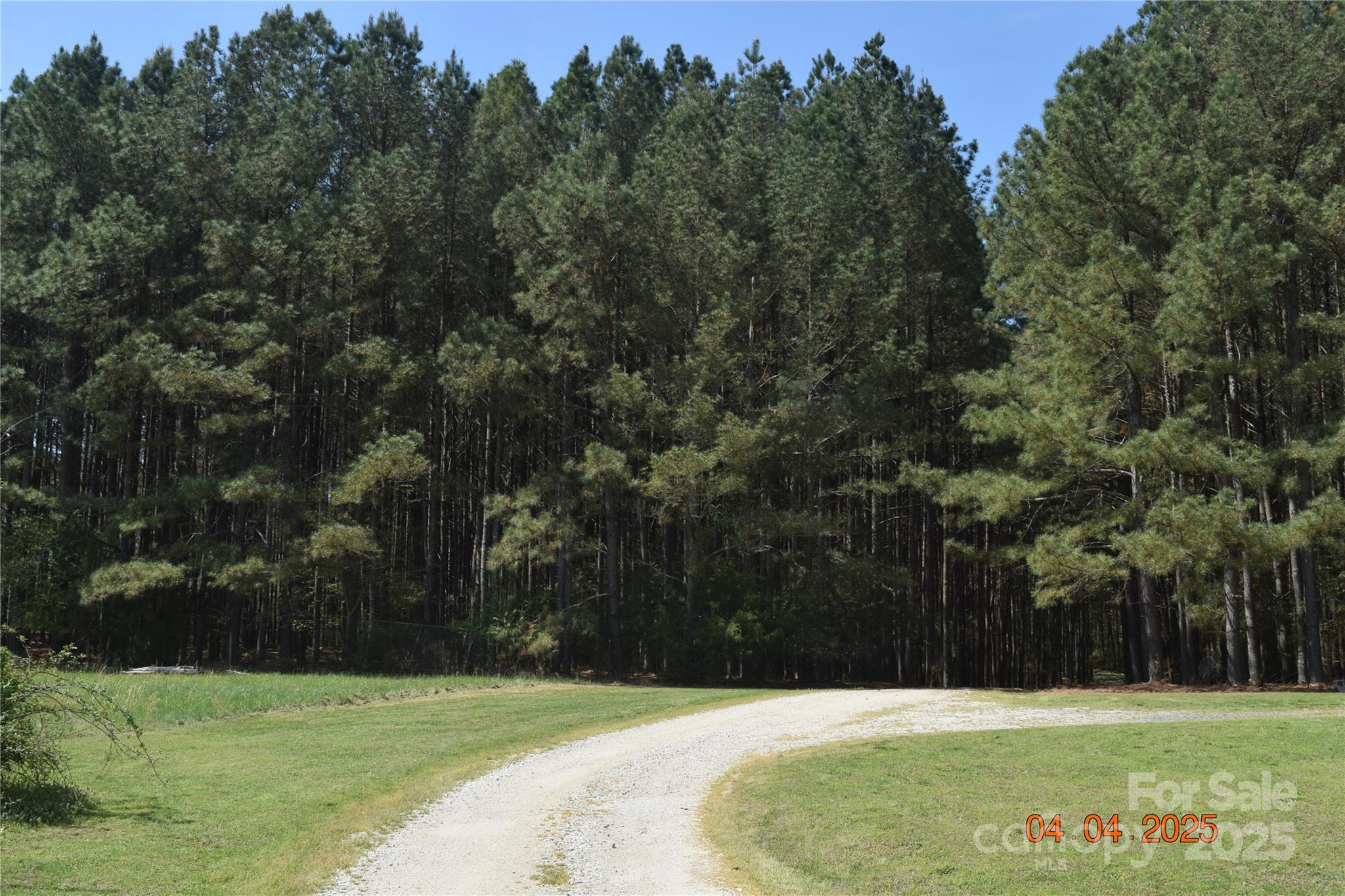 Photo #8
