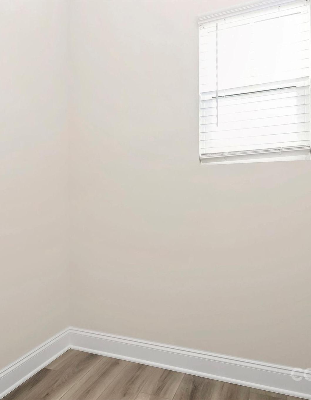 Photo #12