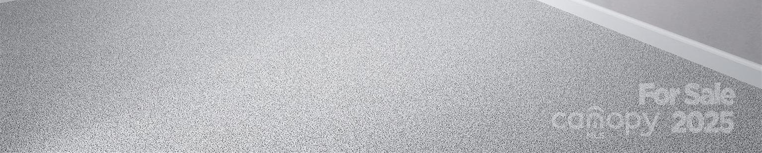 Photo #10