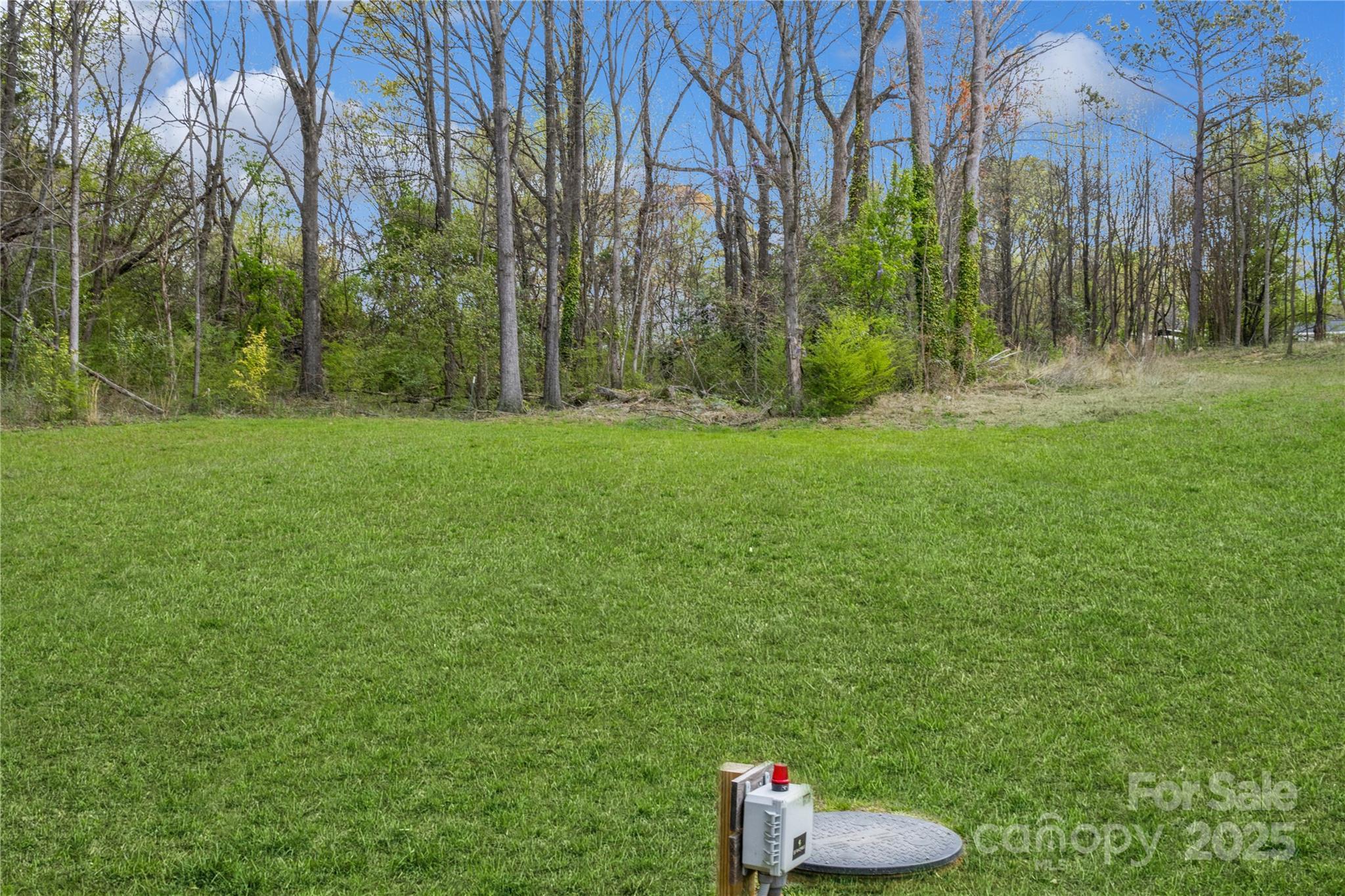 Photo #32