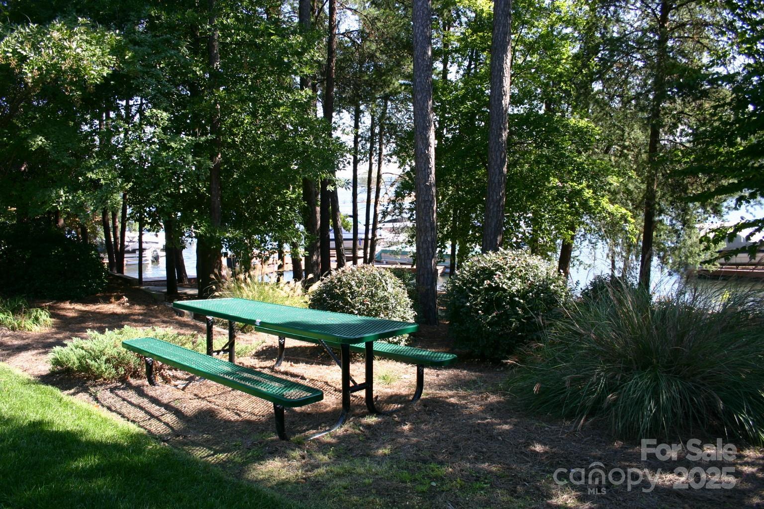 Photo #48