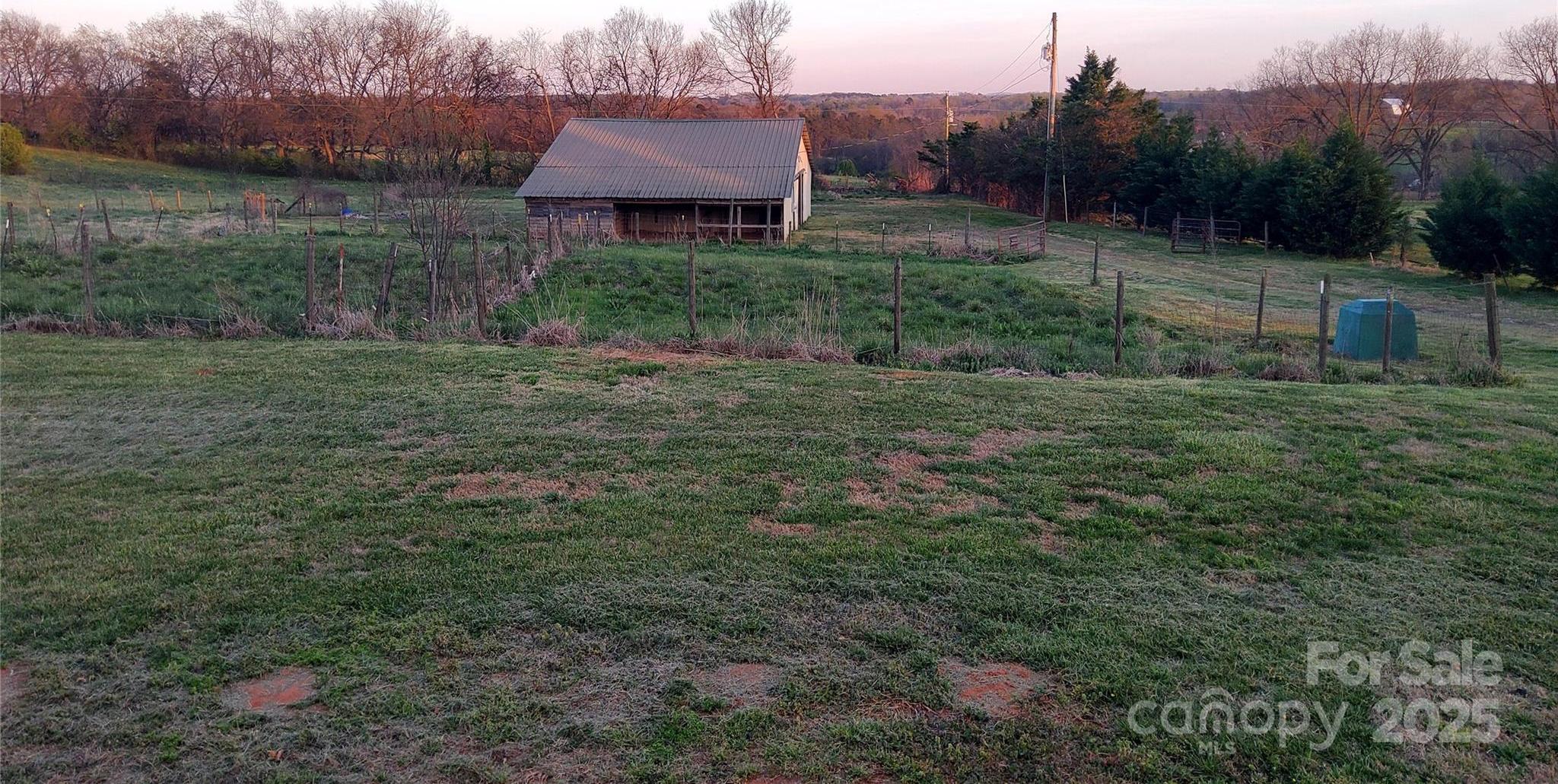 Photo #43