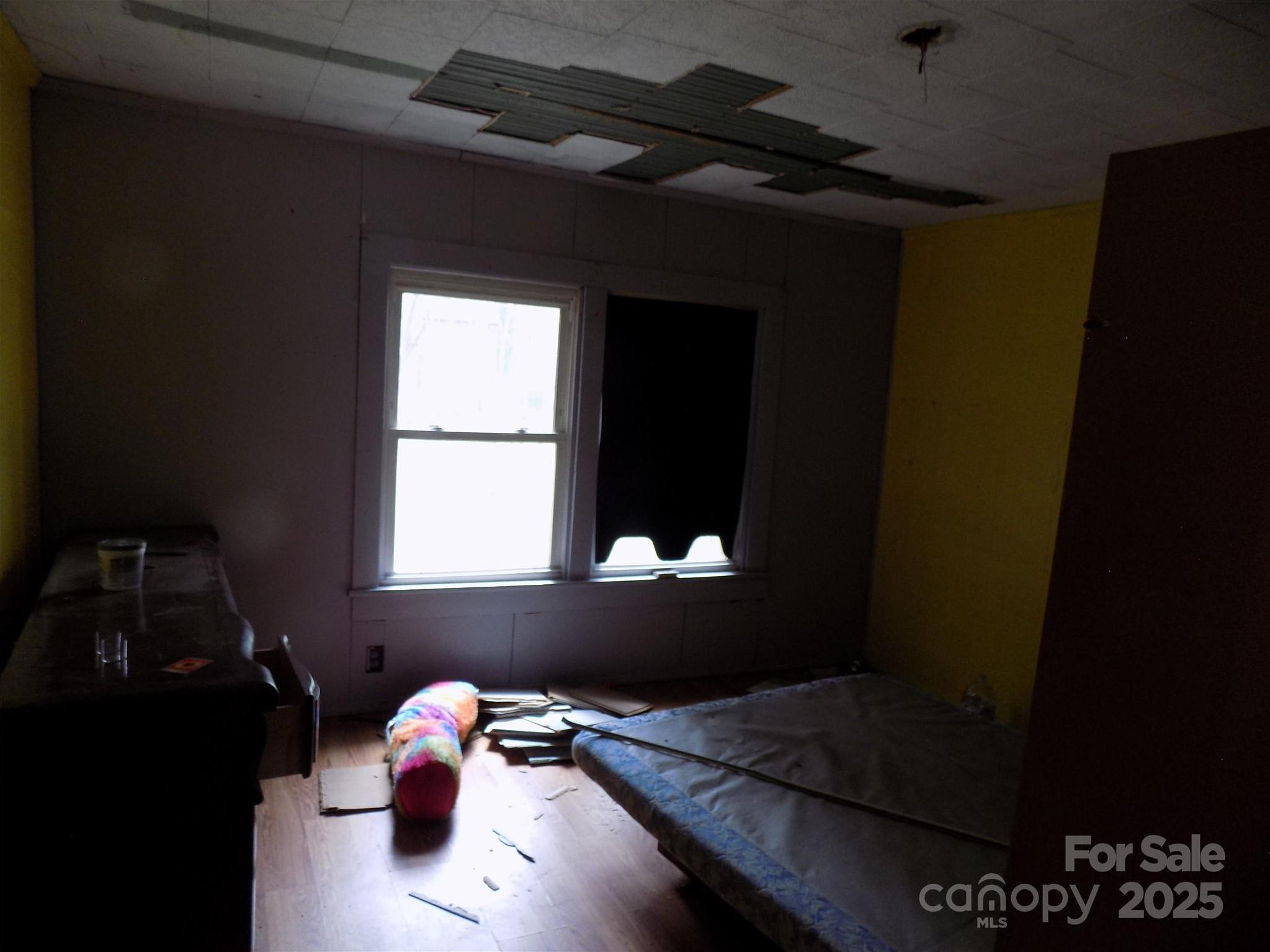Photo #7