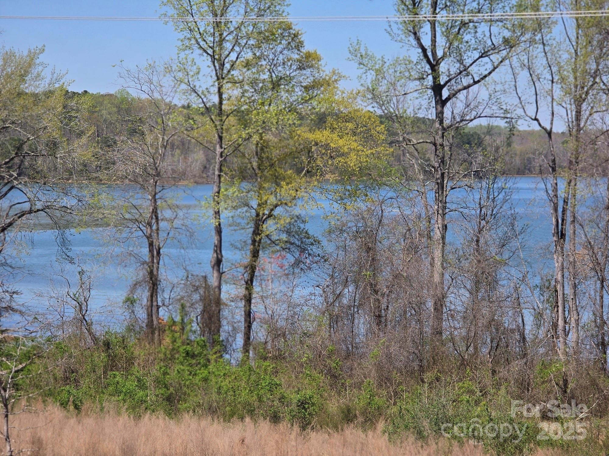 Photo #41