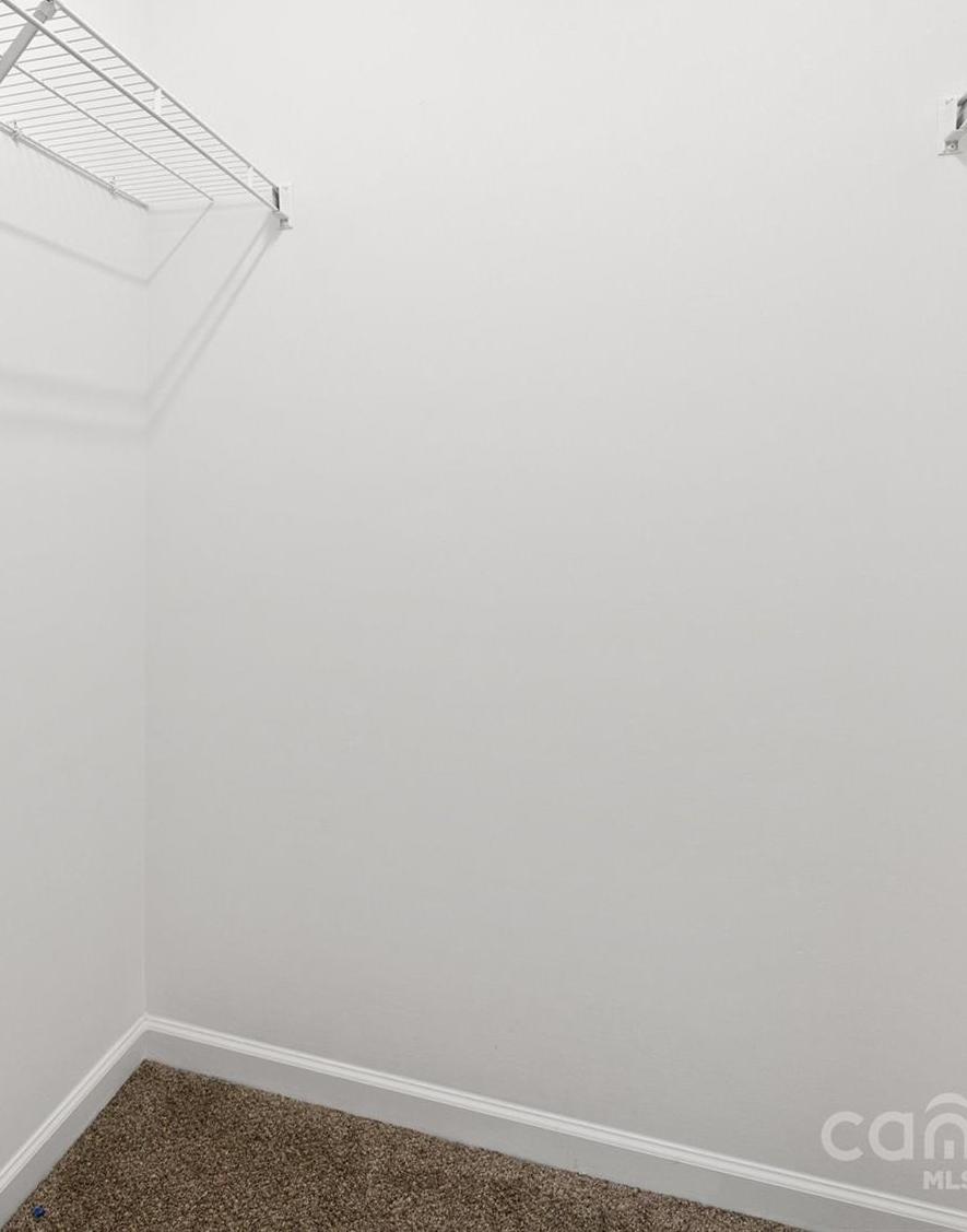 Photo #31