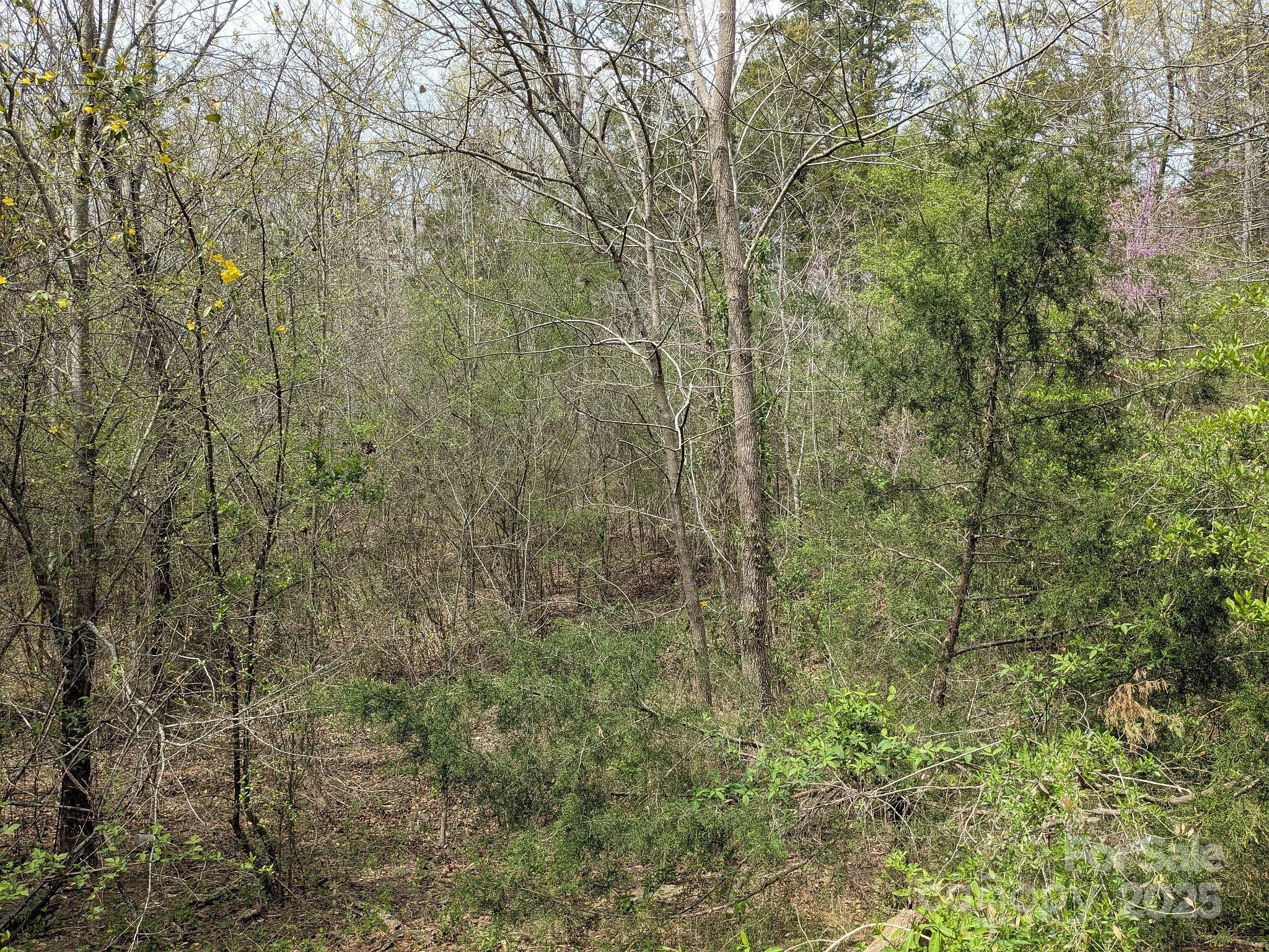 Photo #25