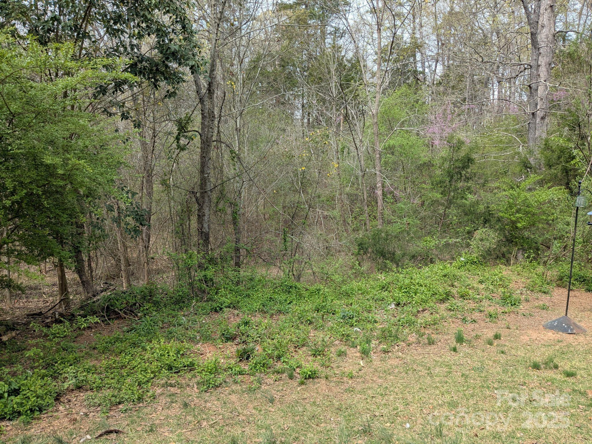 Photo #24