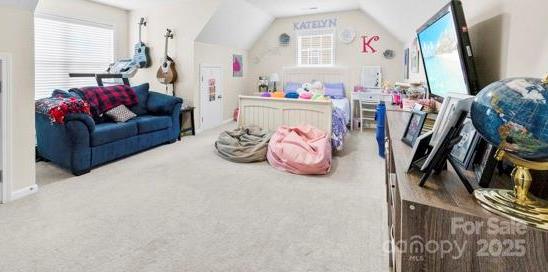 Photo #12