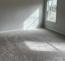 Photo #15