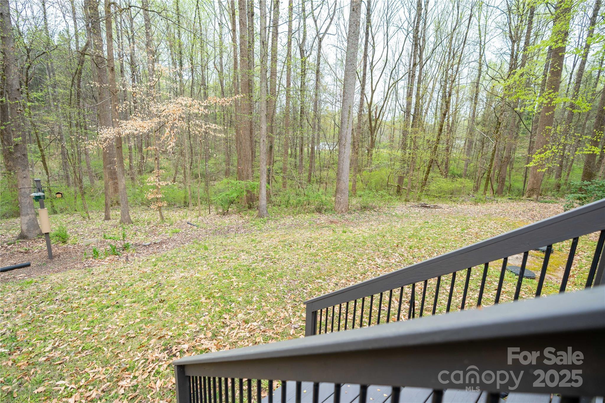 Photo #42