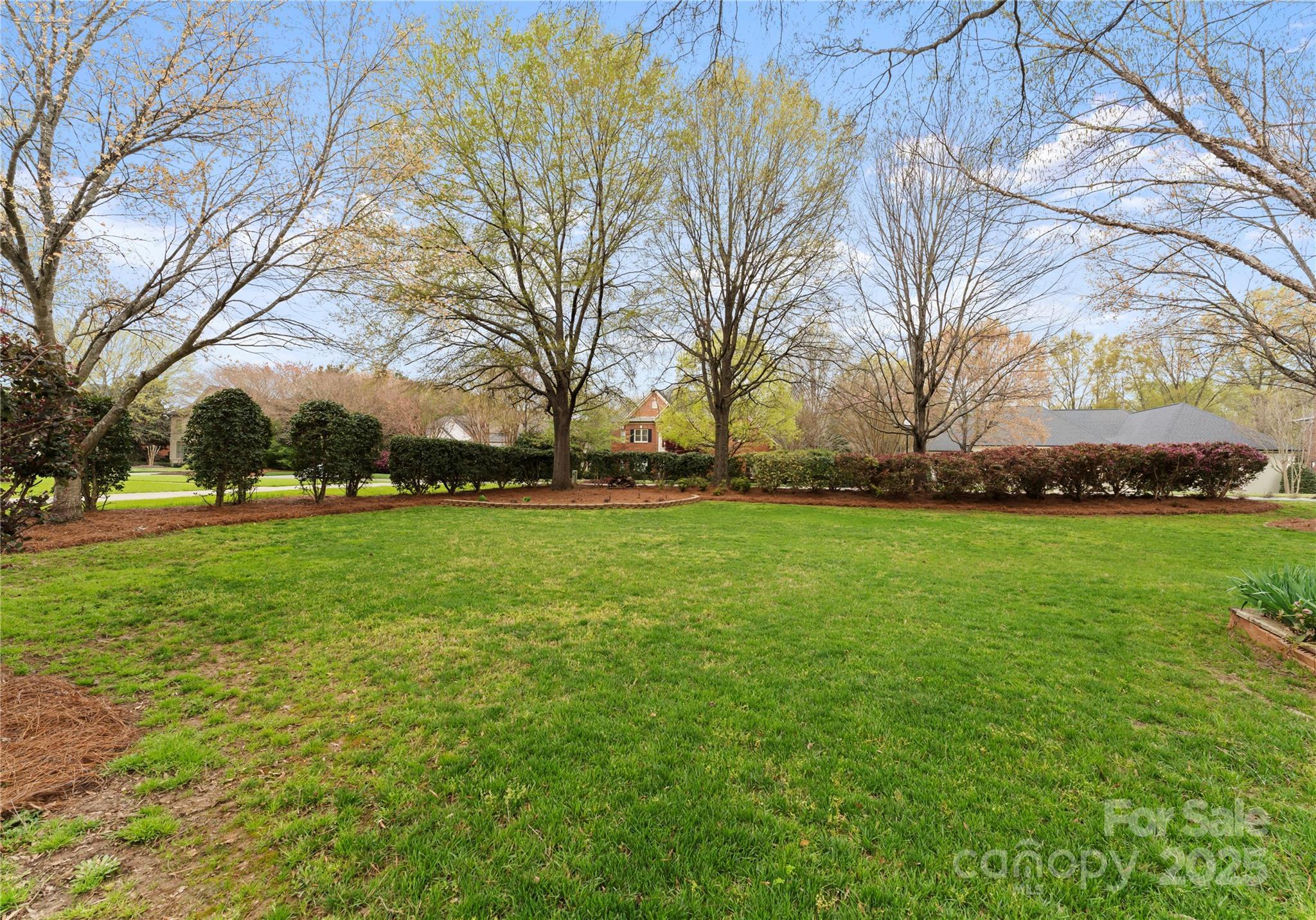 Photo #35