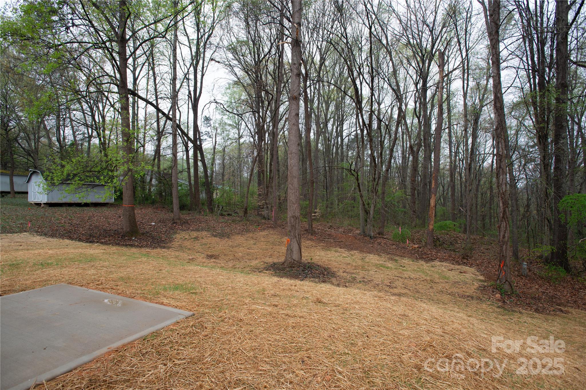 Photo #35