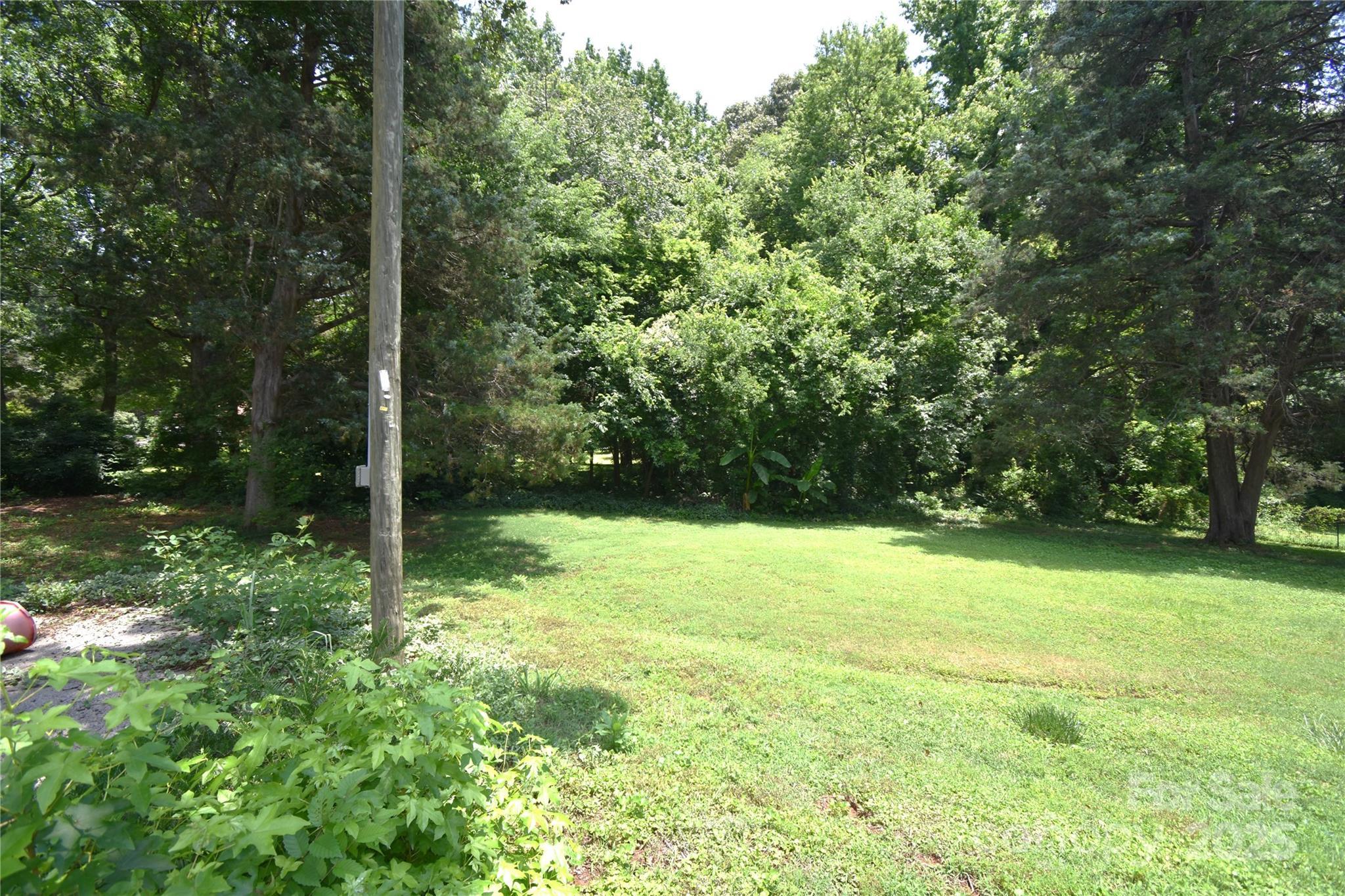 Photo #6