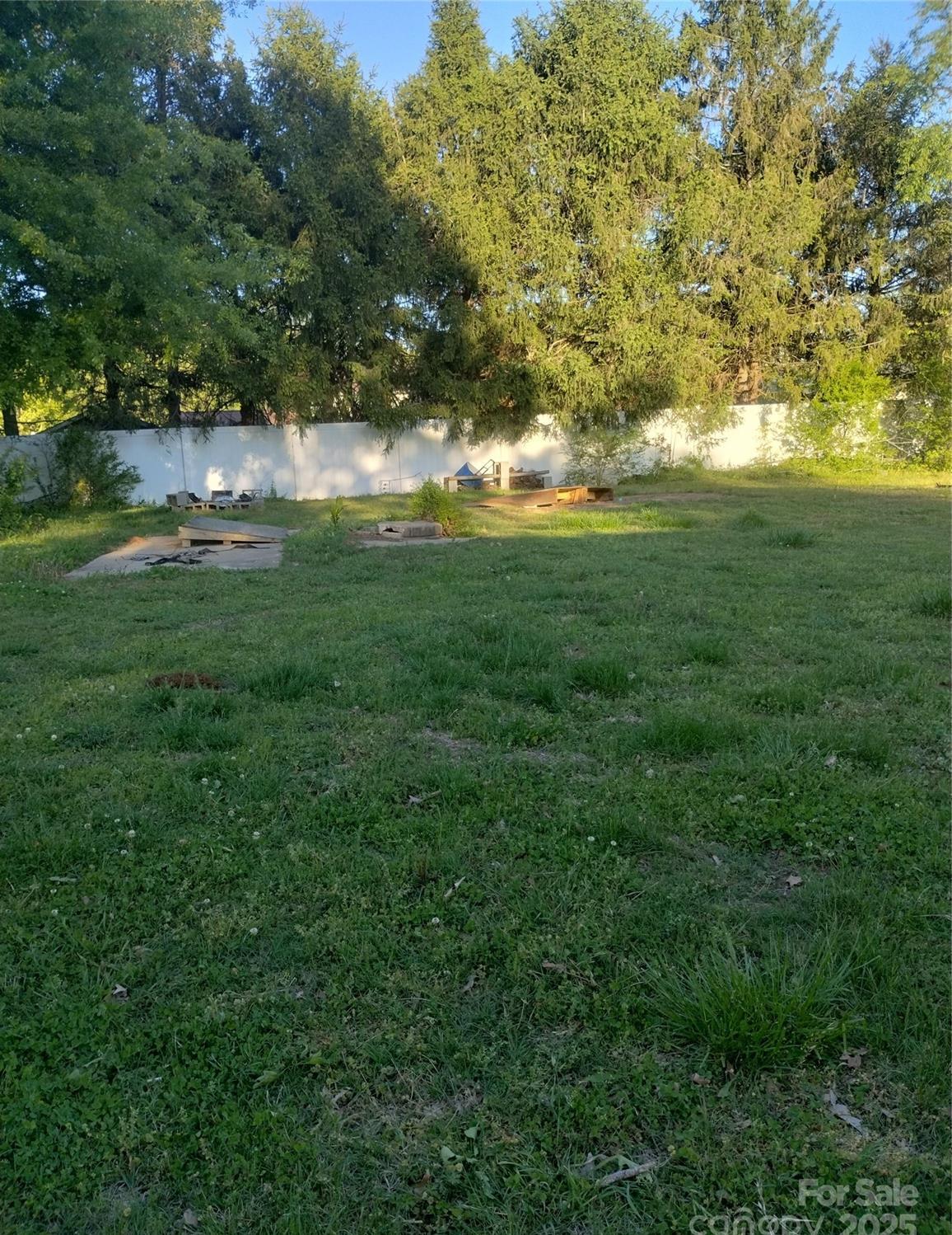 Photo #19