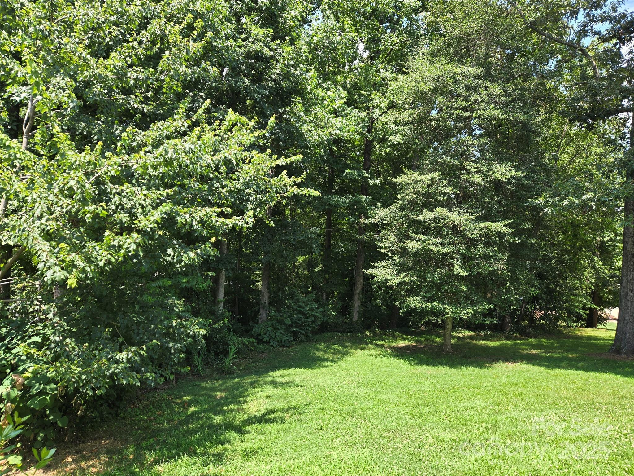 Photo #32