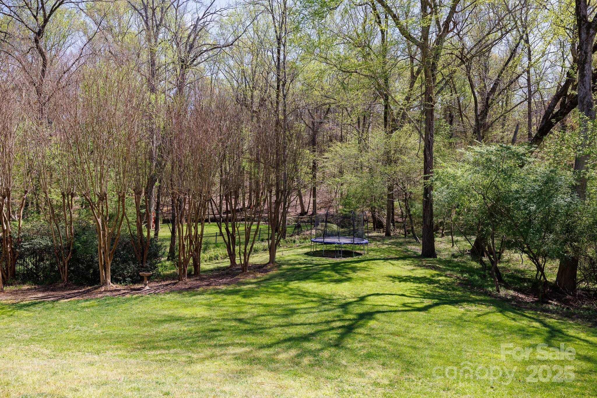 Photo #36