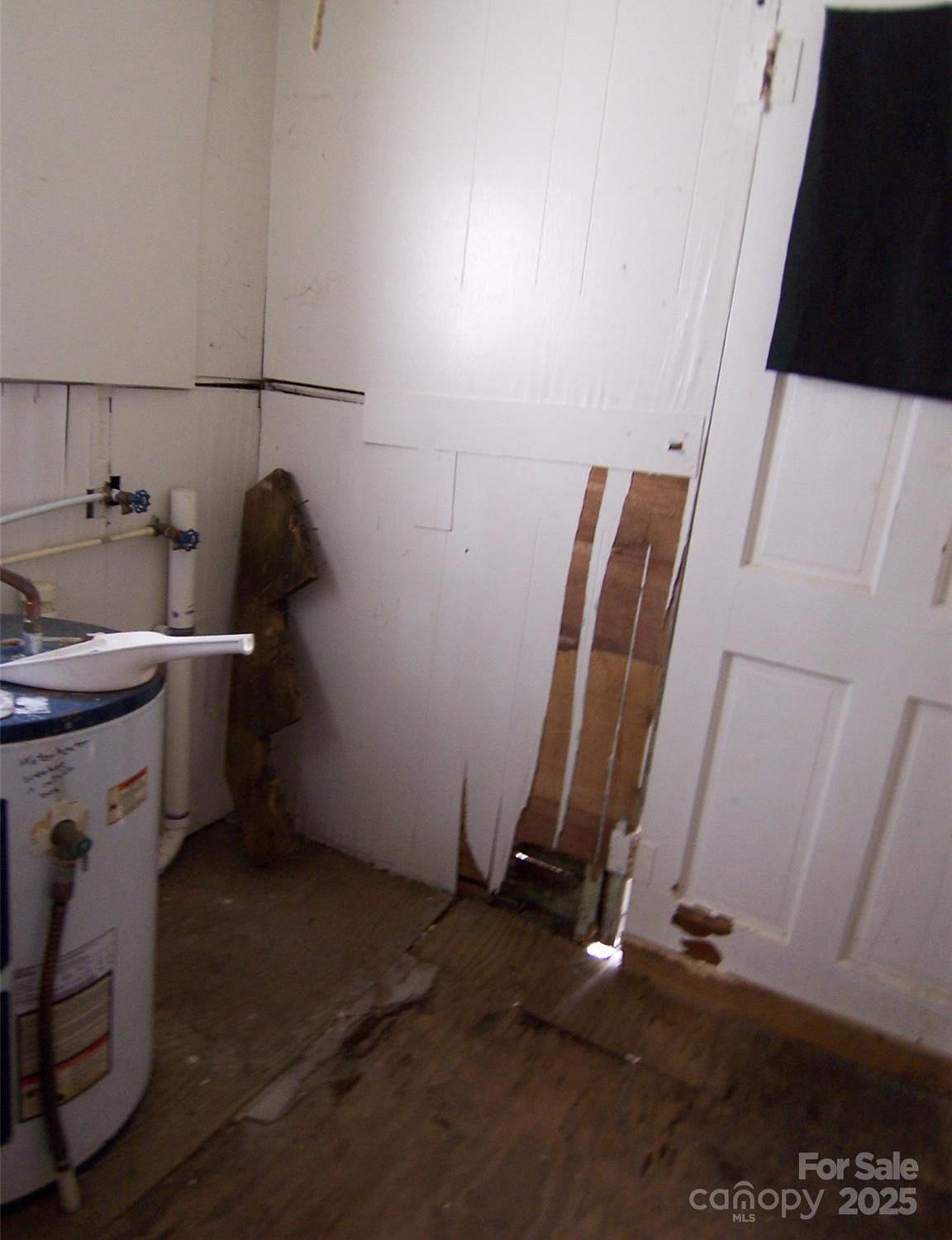 Photo #11