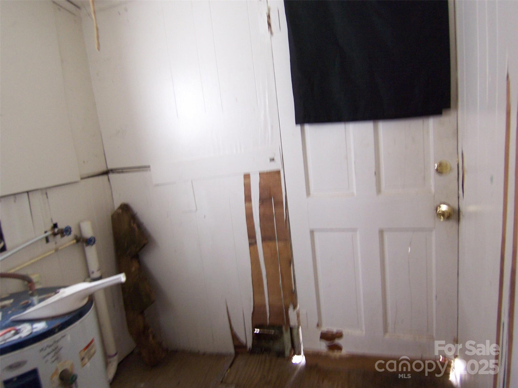 Photo #12