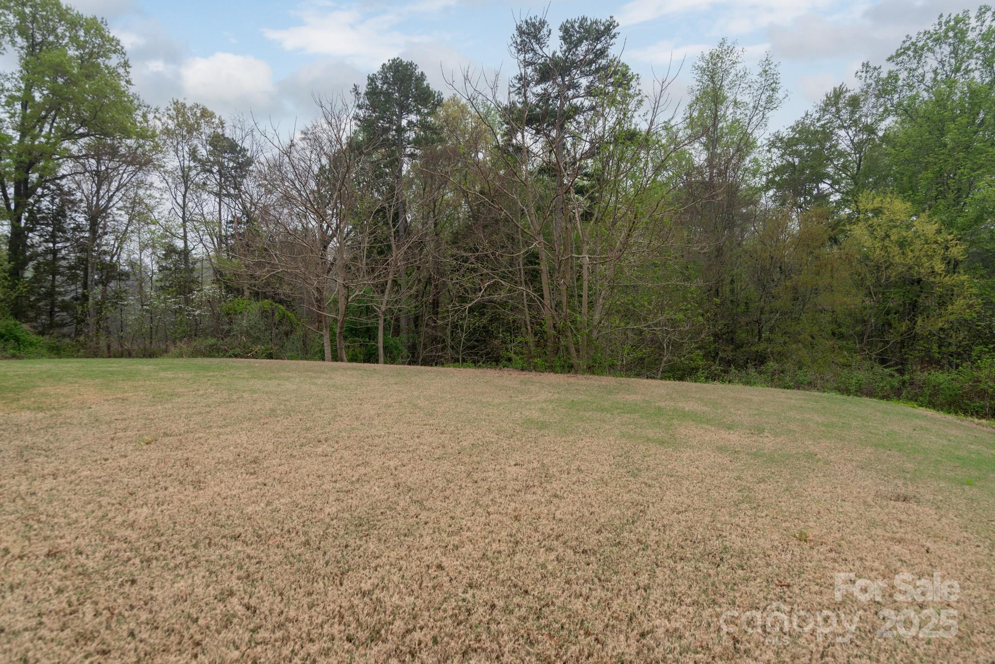 Photo #25