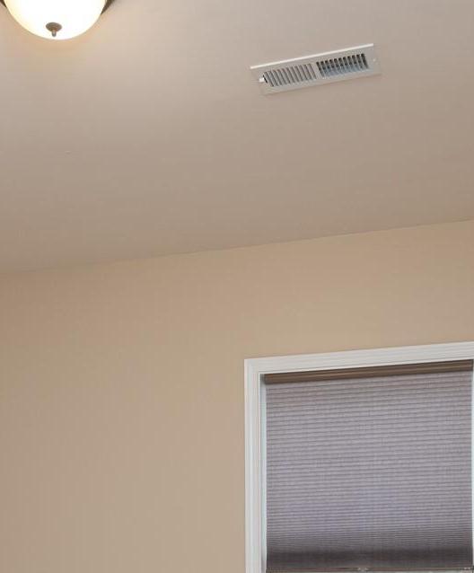 Photo #12