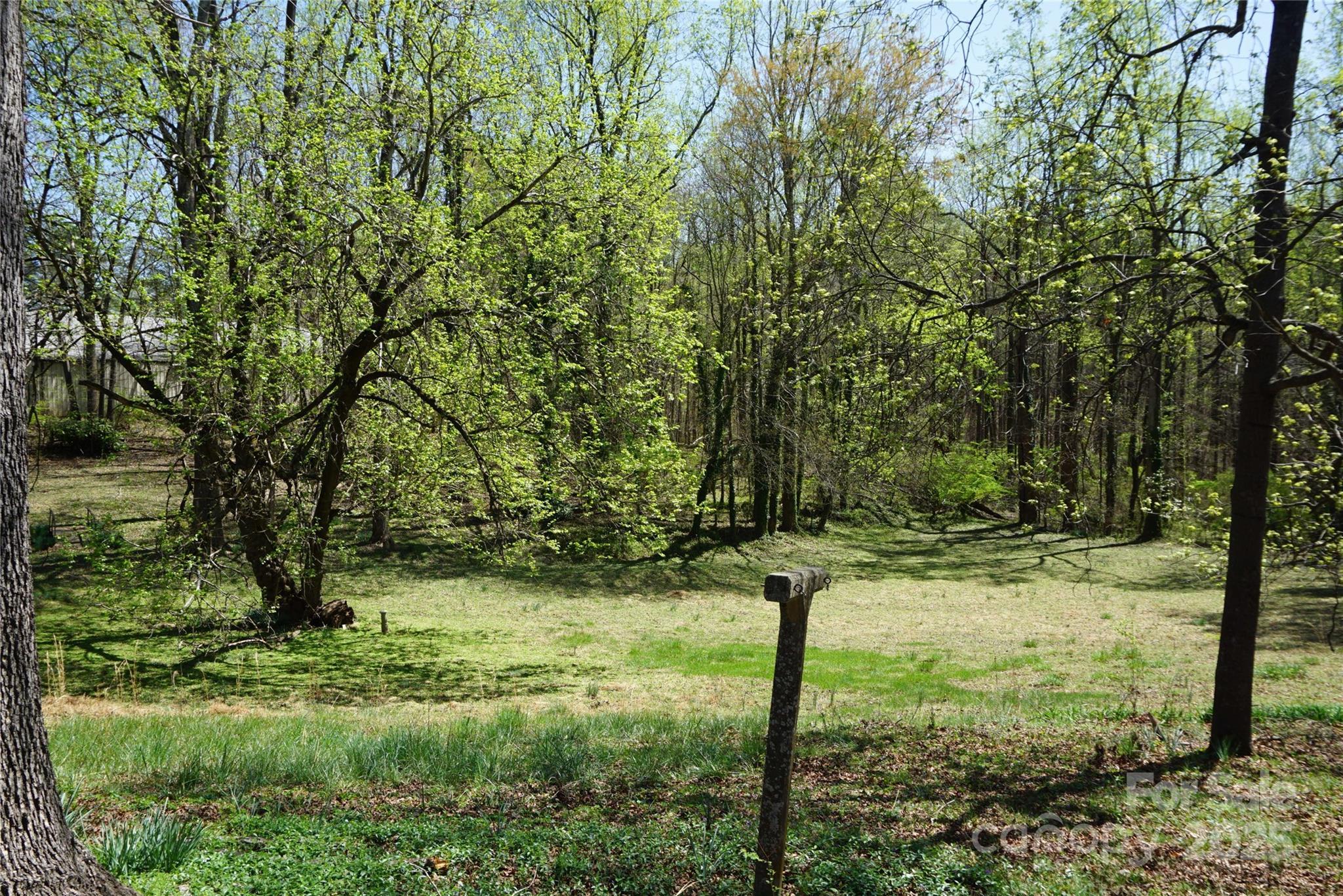 Photo #24