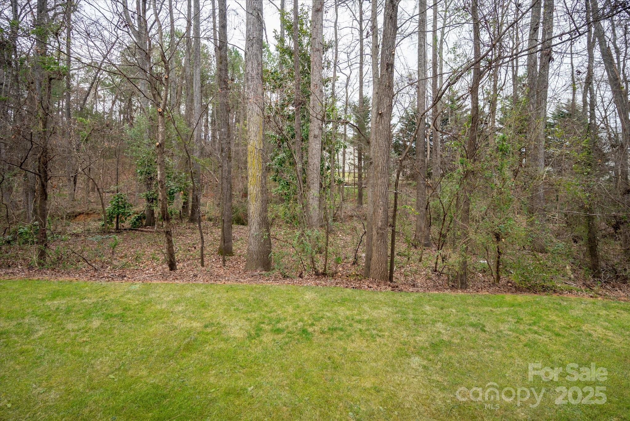 Photo #45