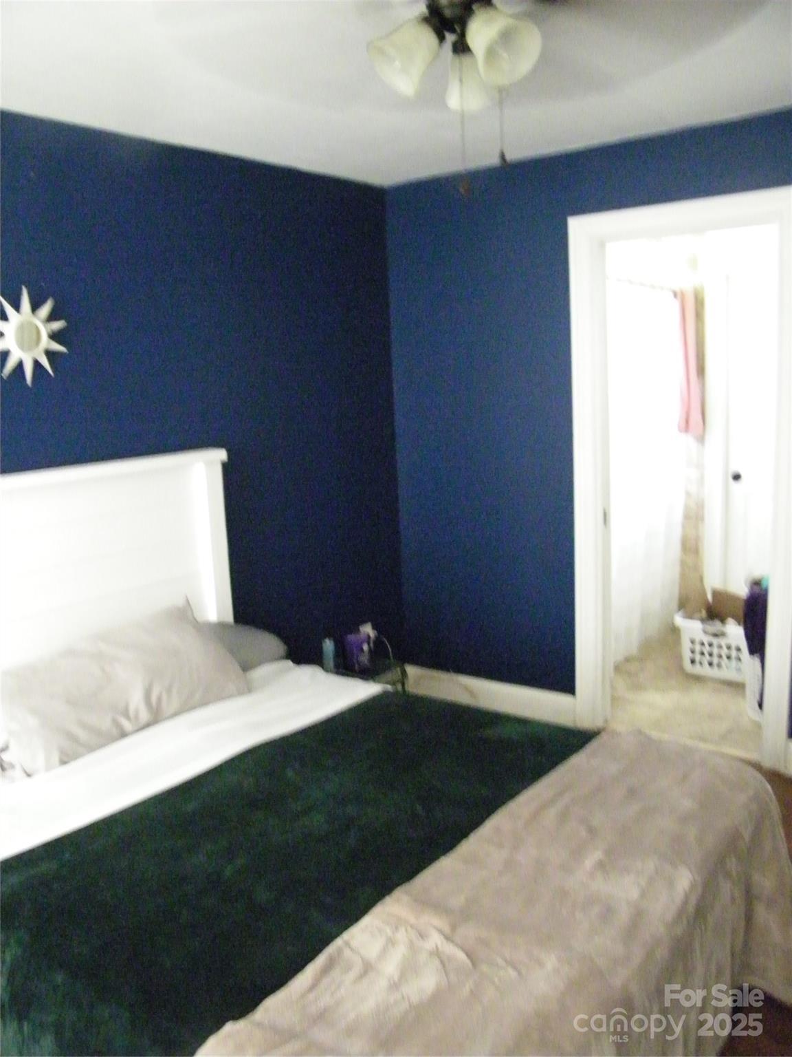 Photo #11