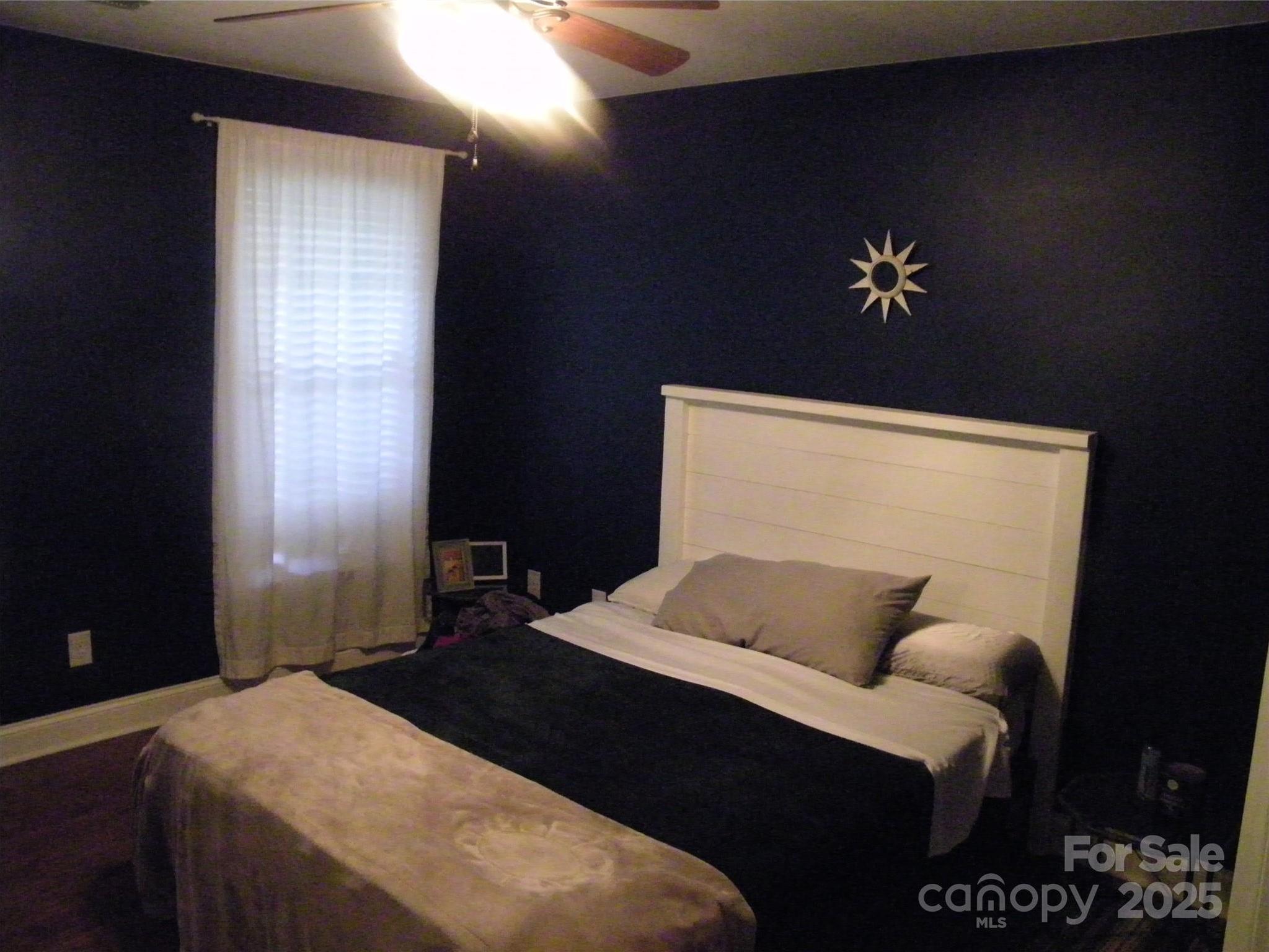 Photo #12