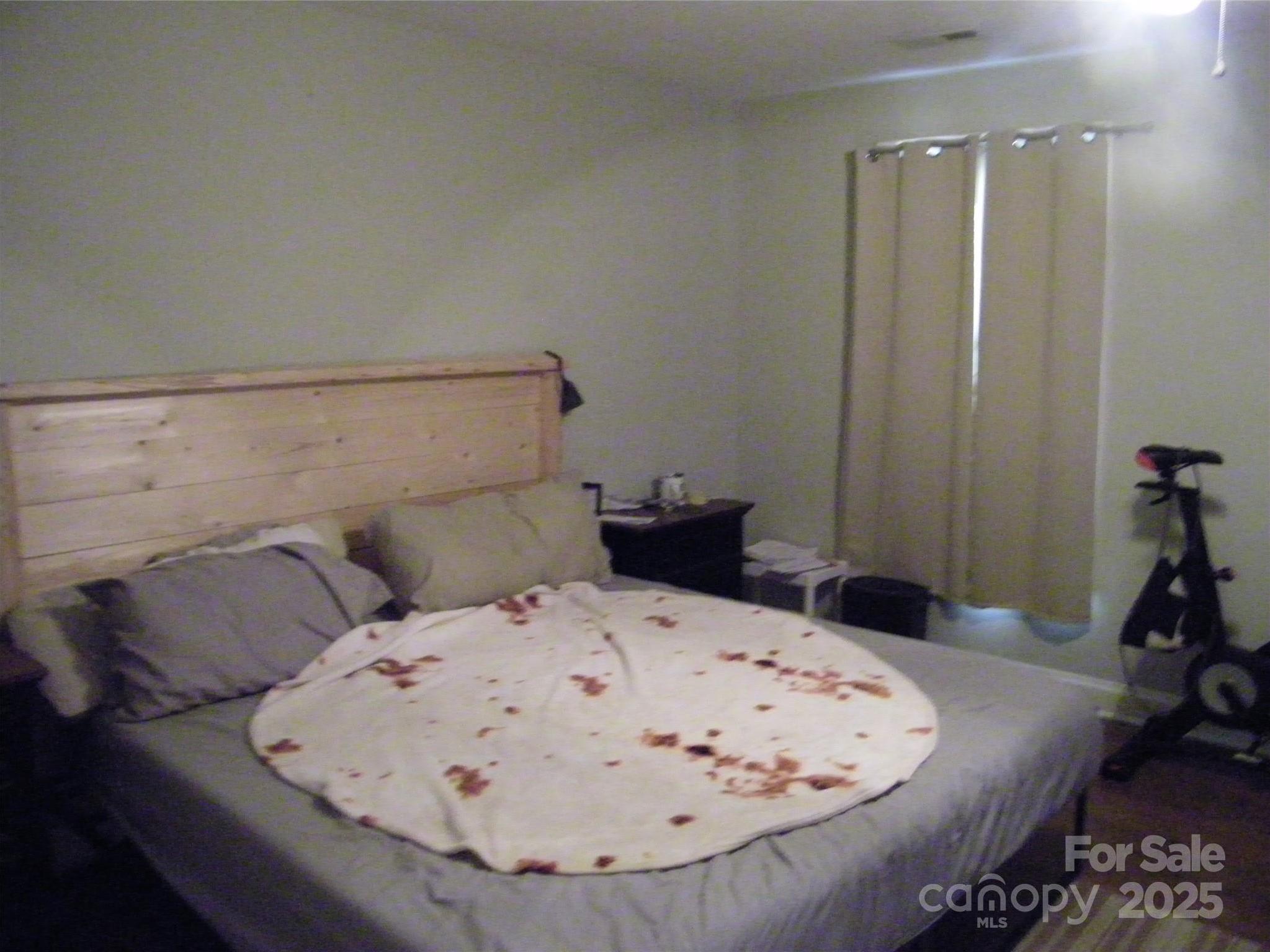Photo #8