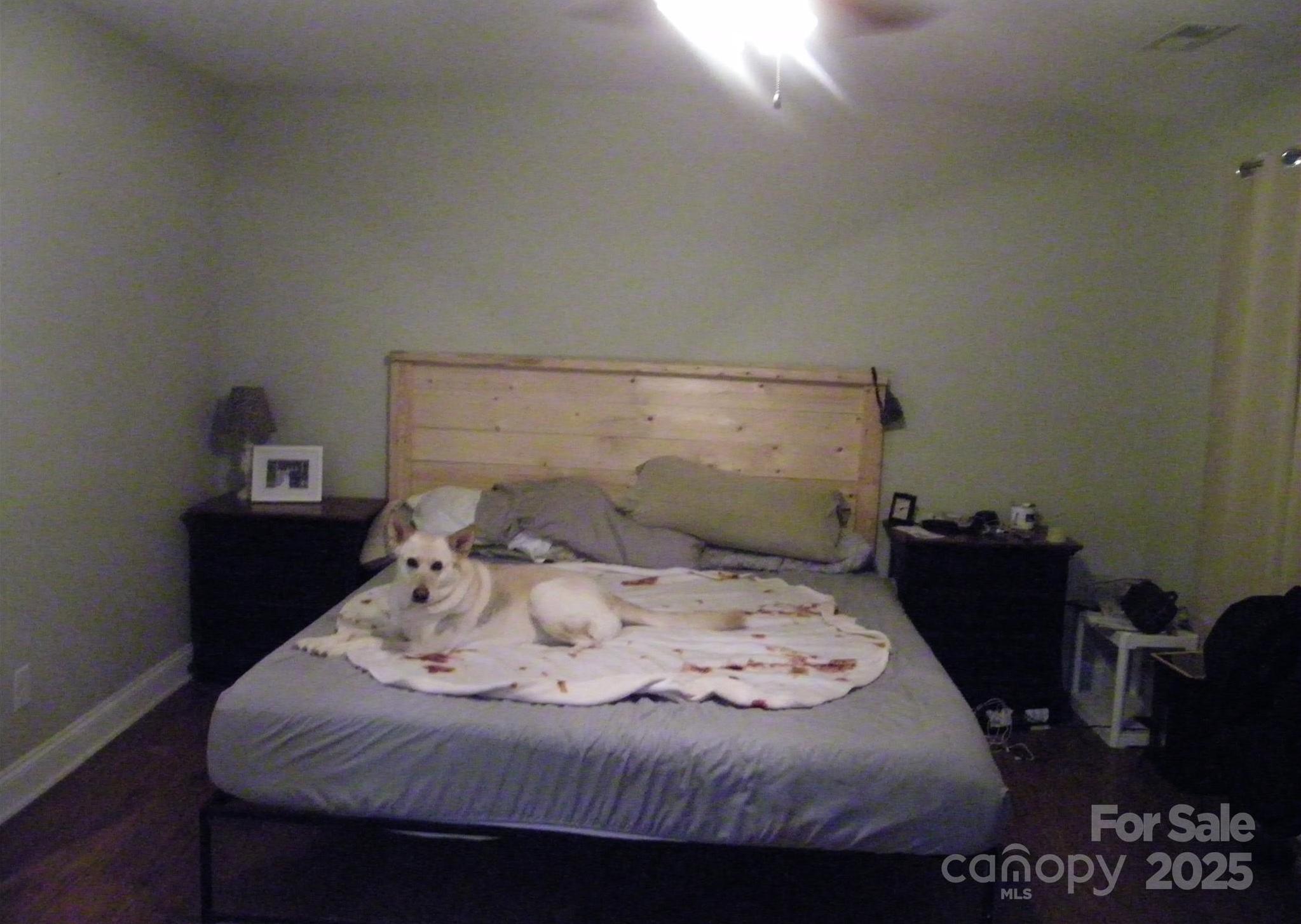 Photo #9