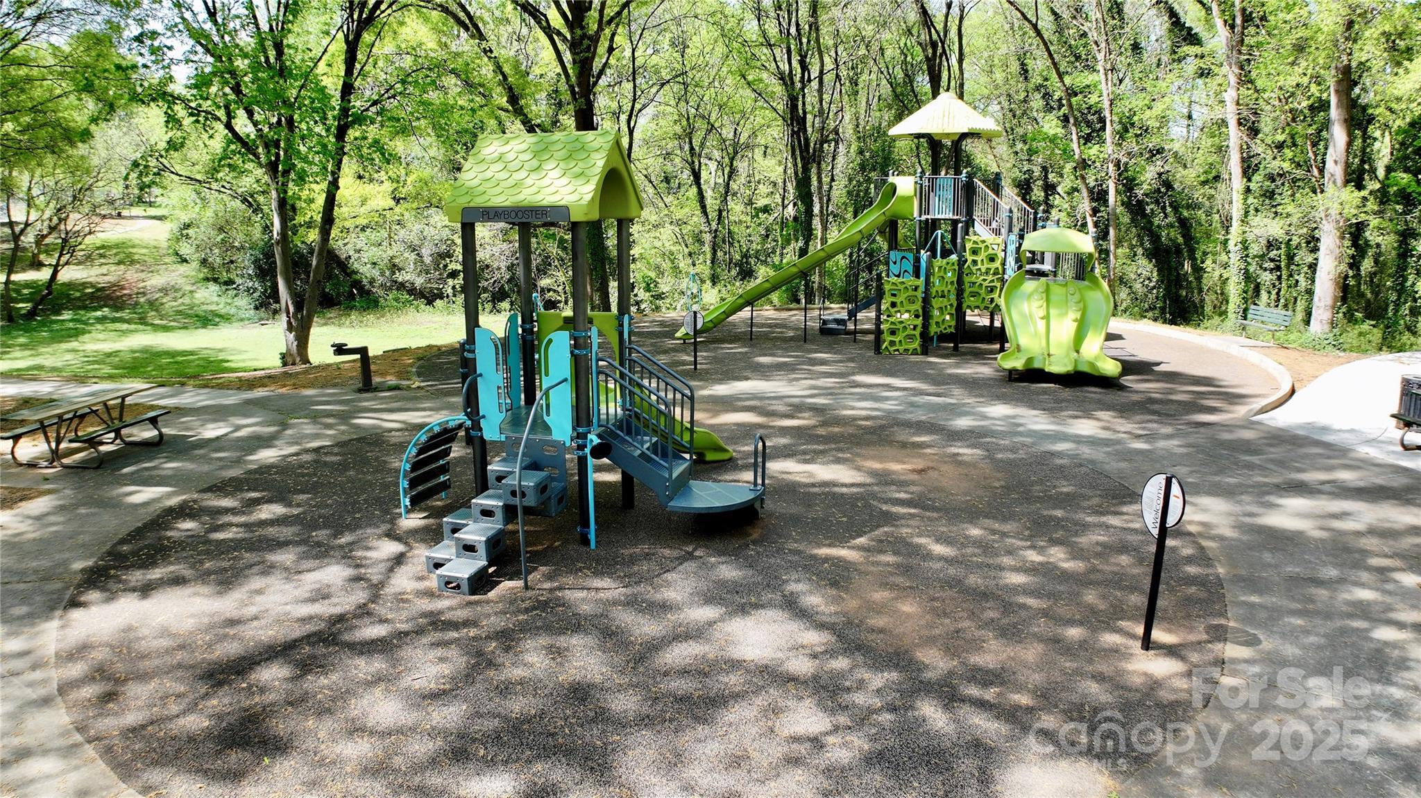 Photo #8
