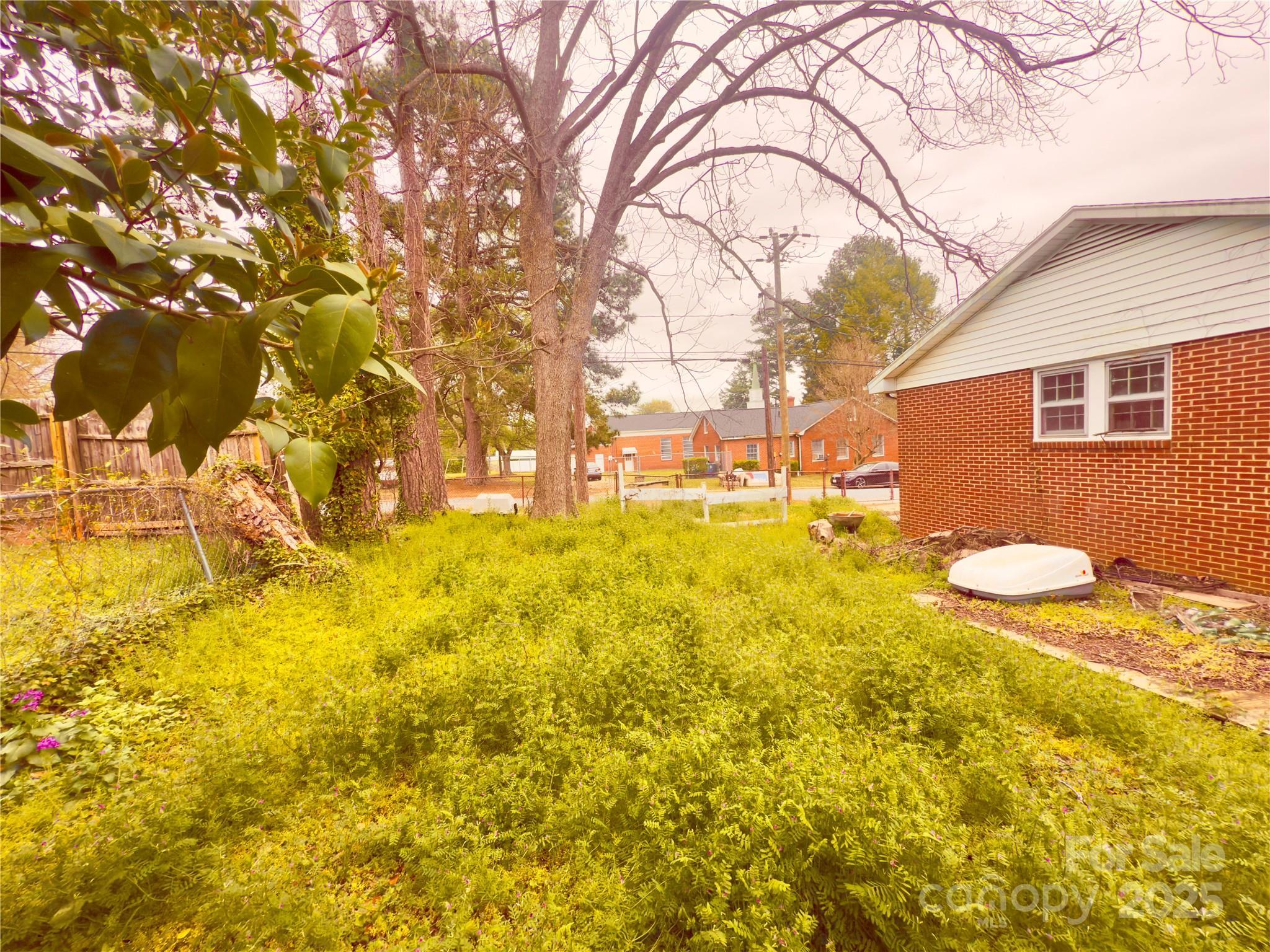 Photo #7