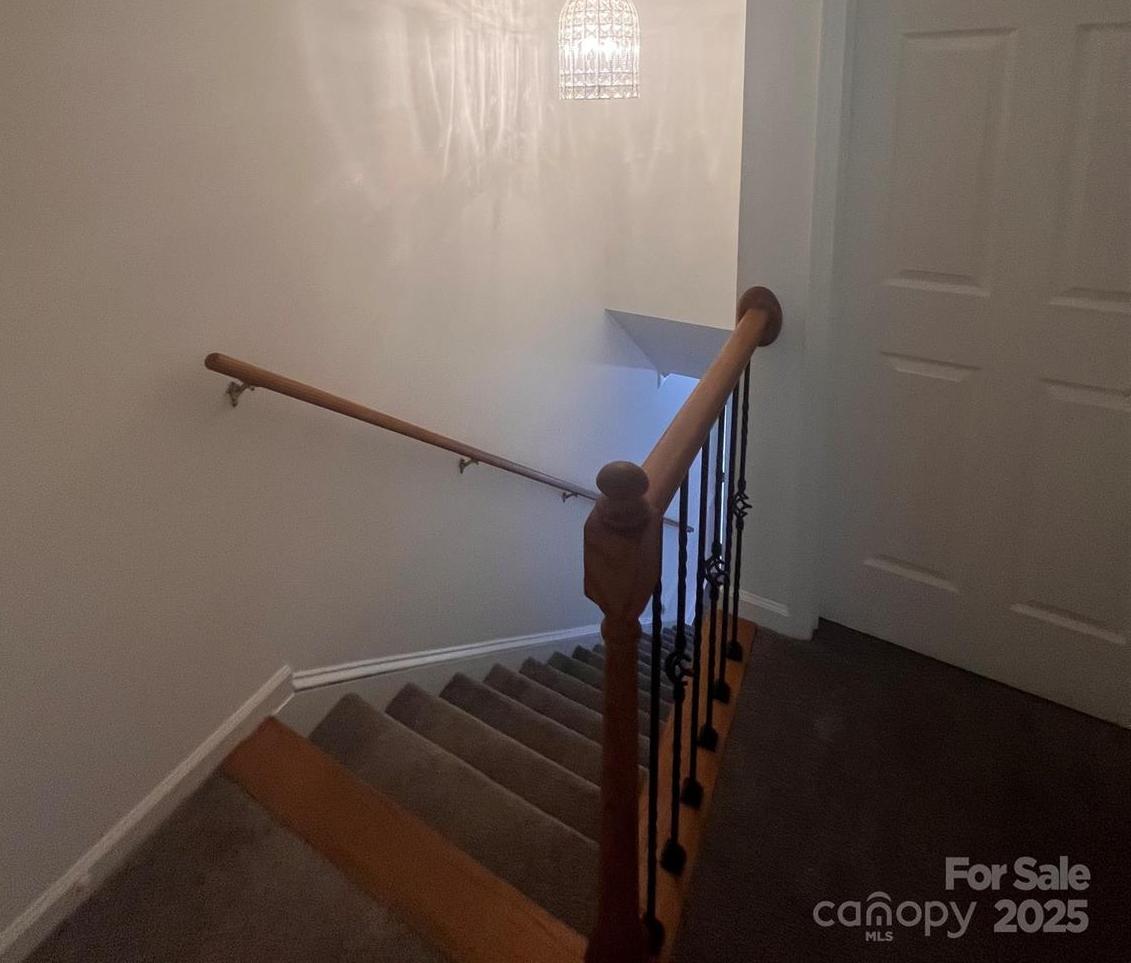 Photo #24