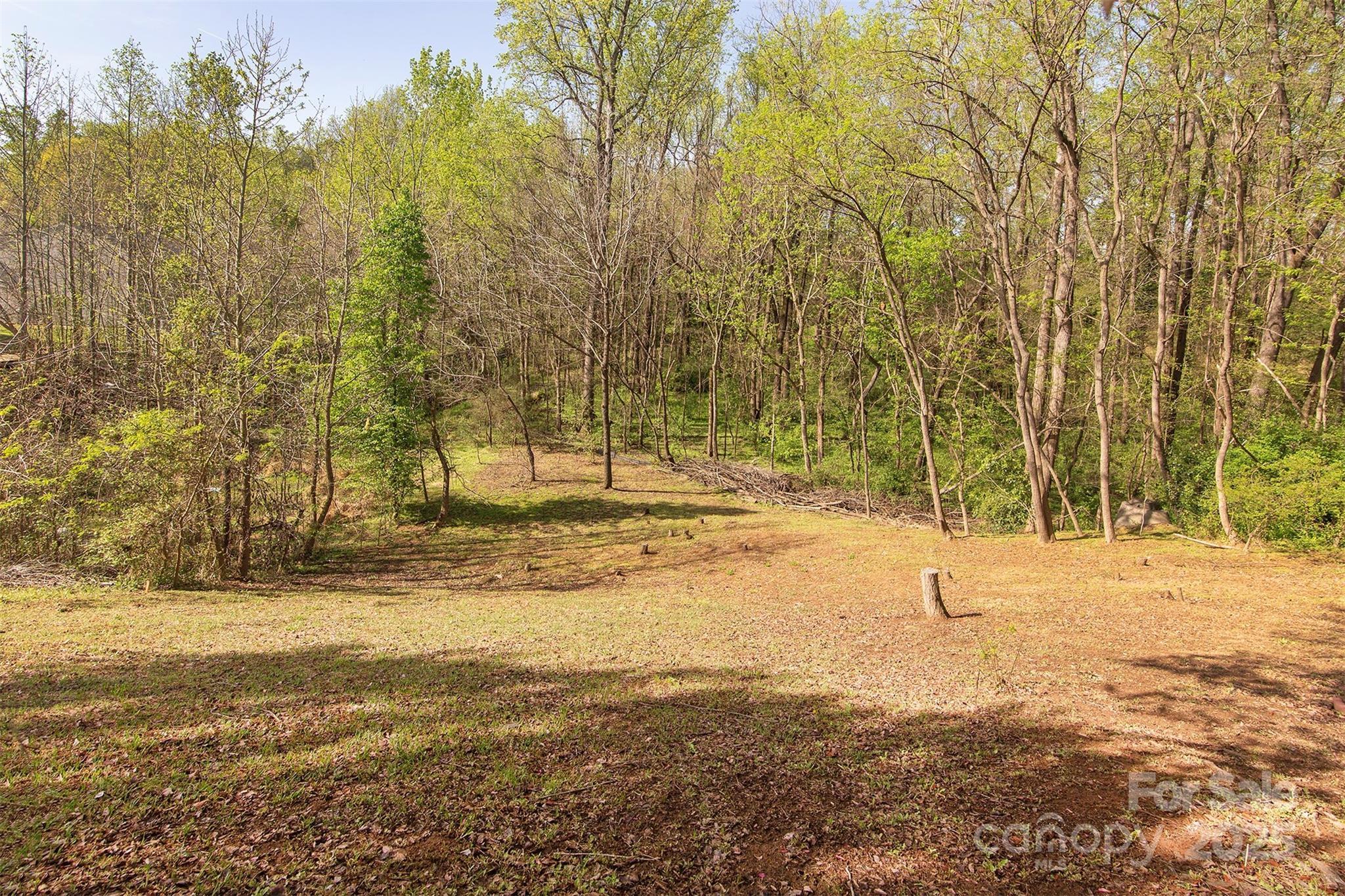 Photo #24