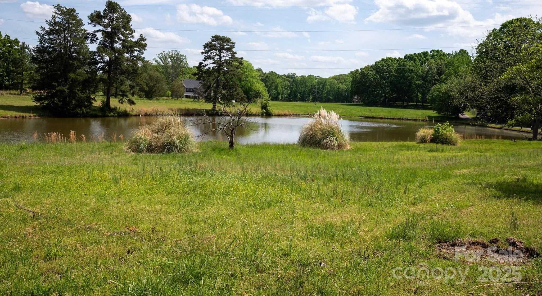 Photo #44