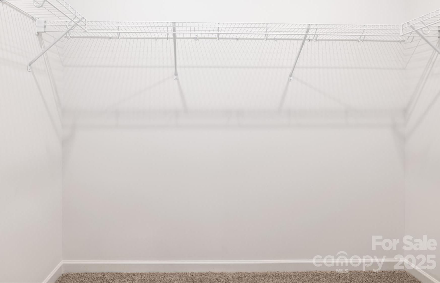 Photo #16
