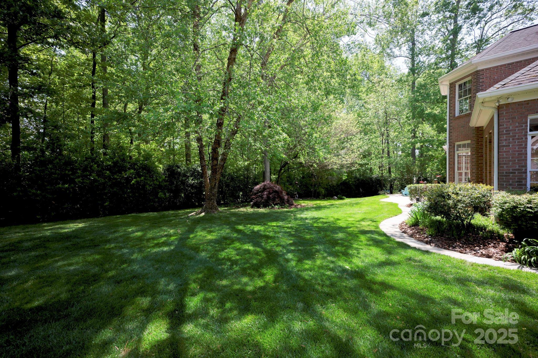 Photo #43