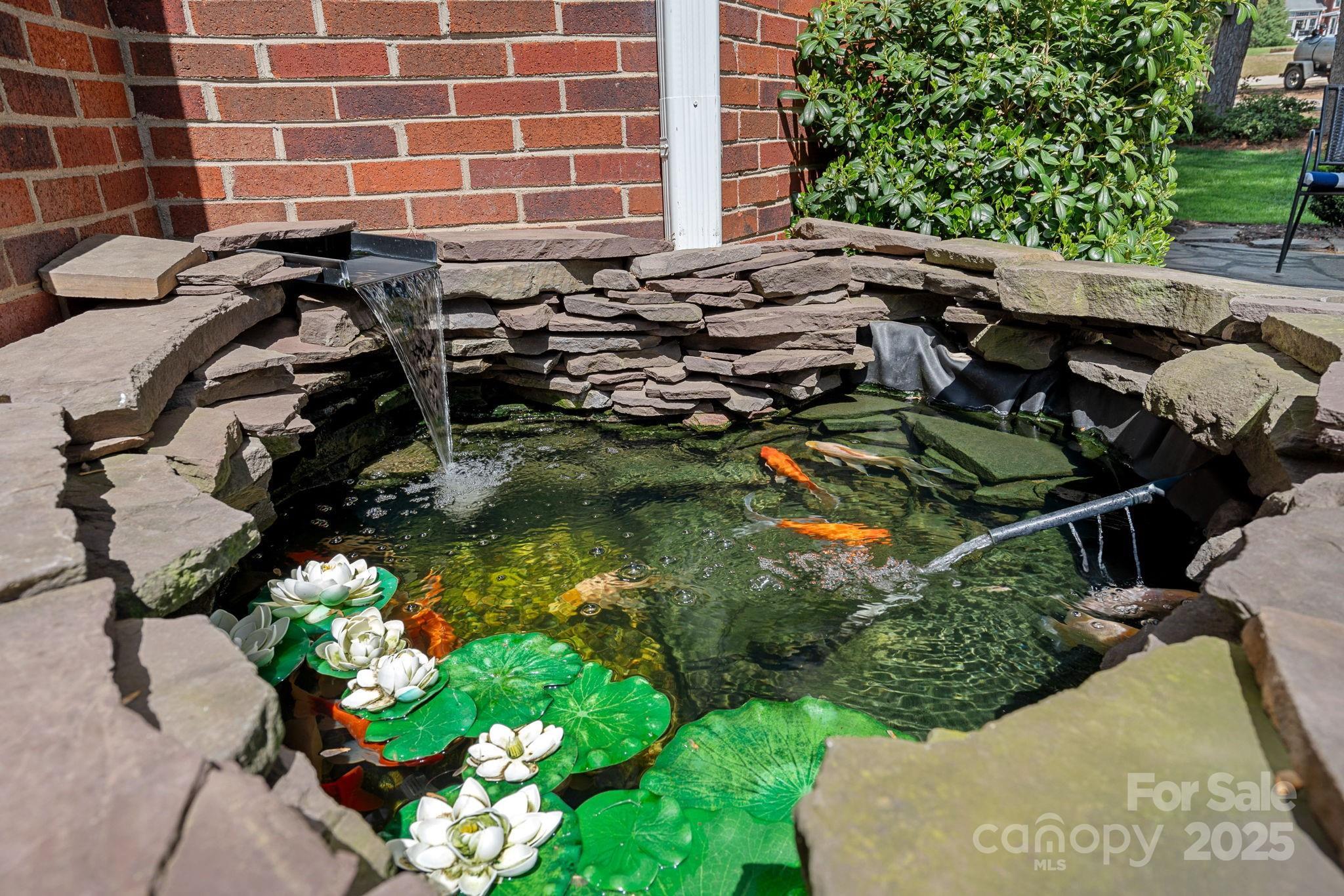 Photo #33