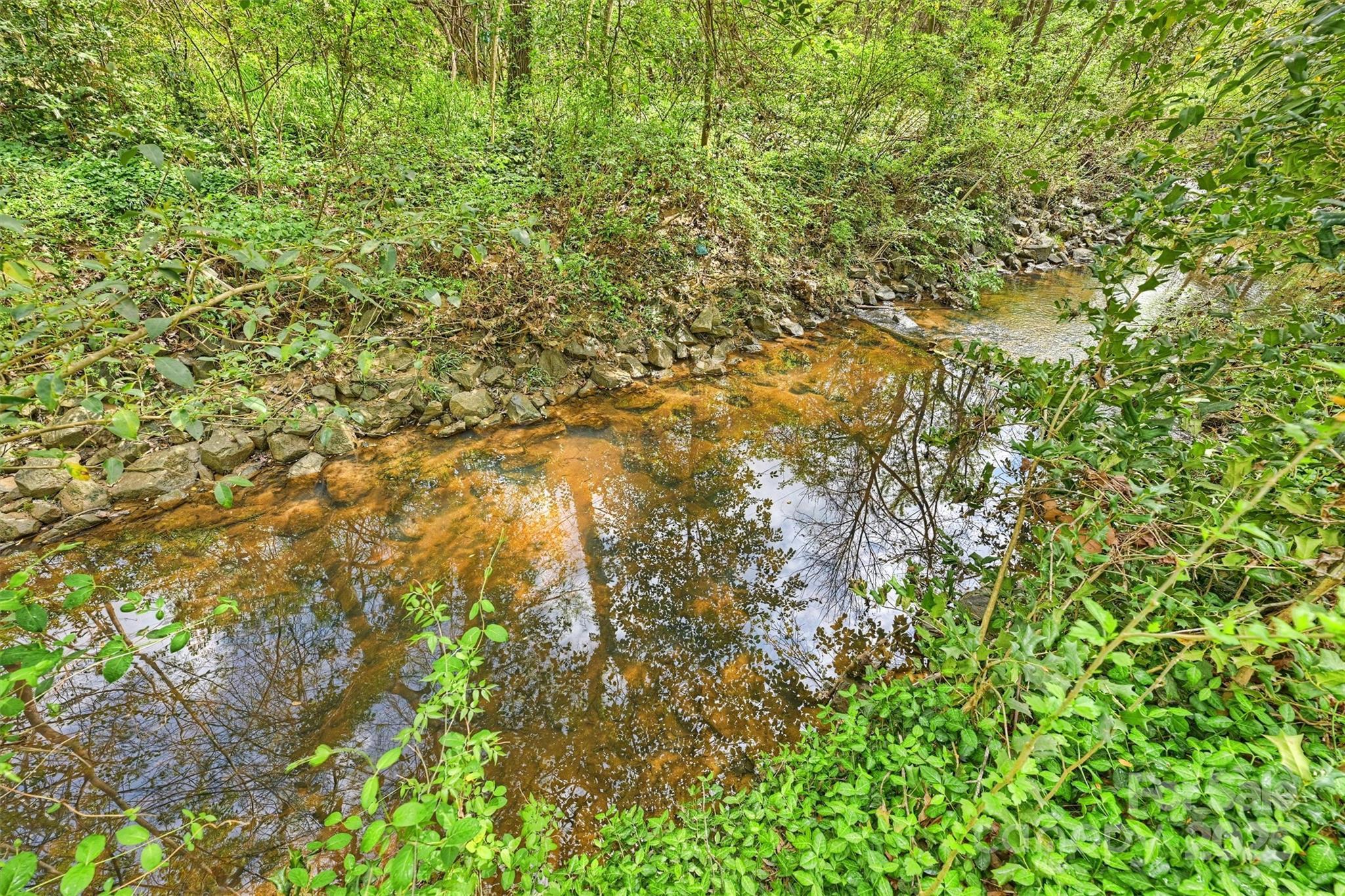 Photo #46