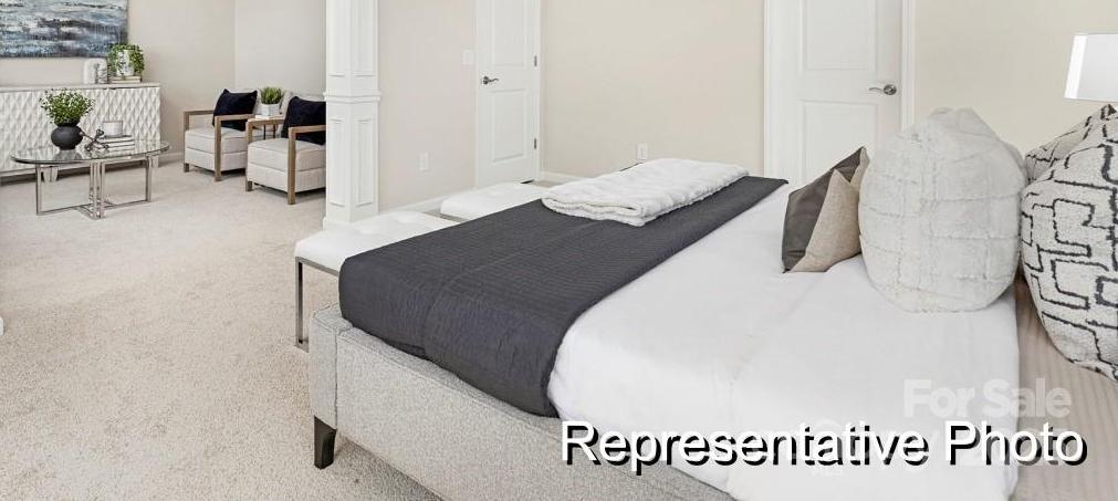 Photo #17
