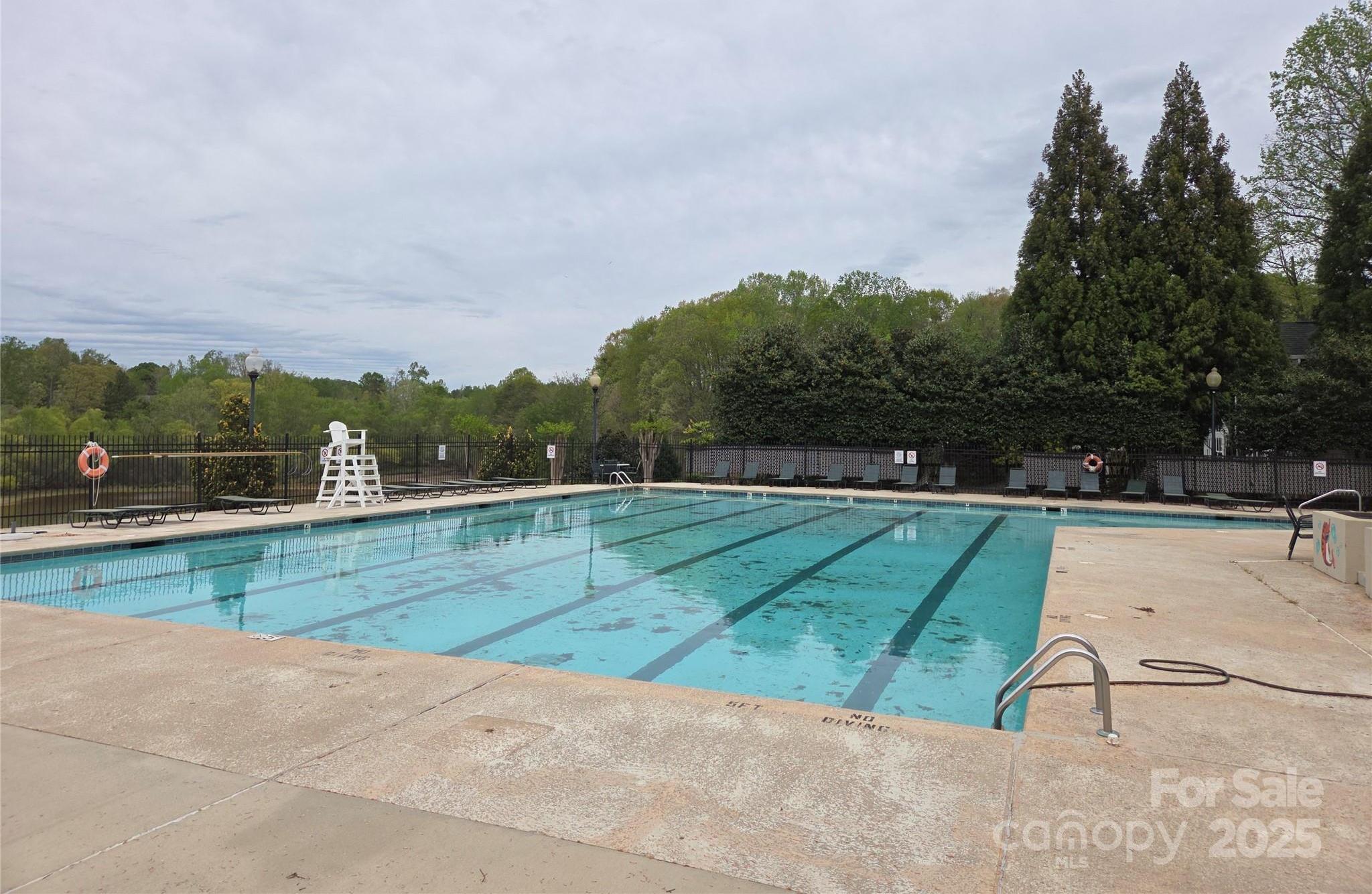 Photo #42