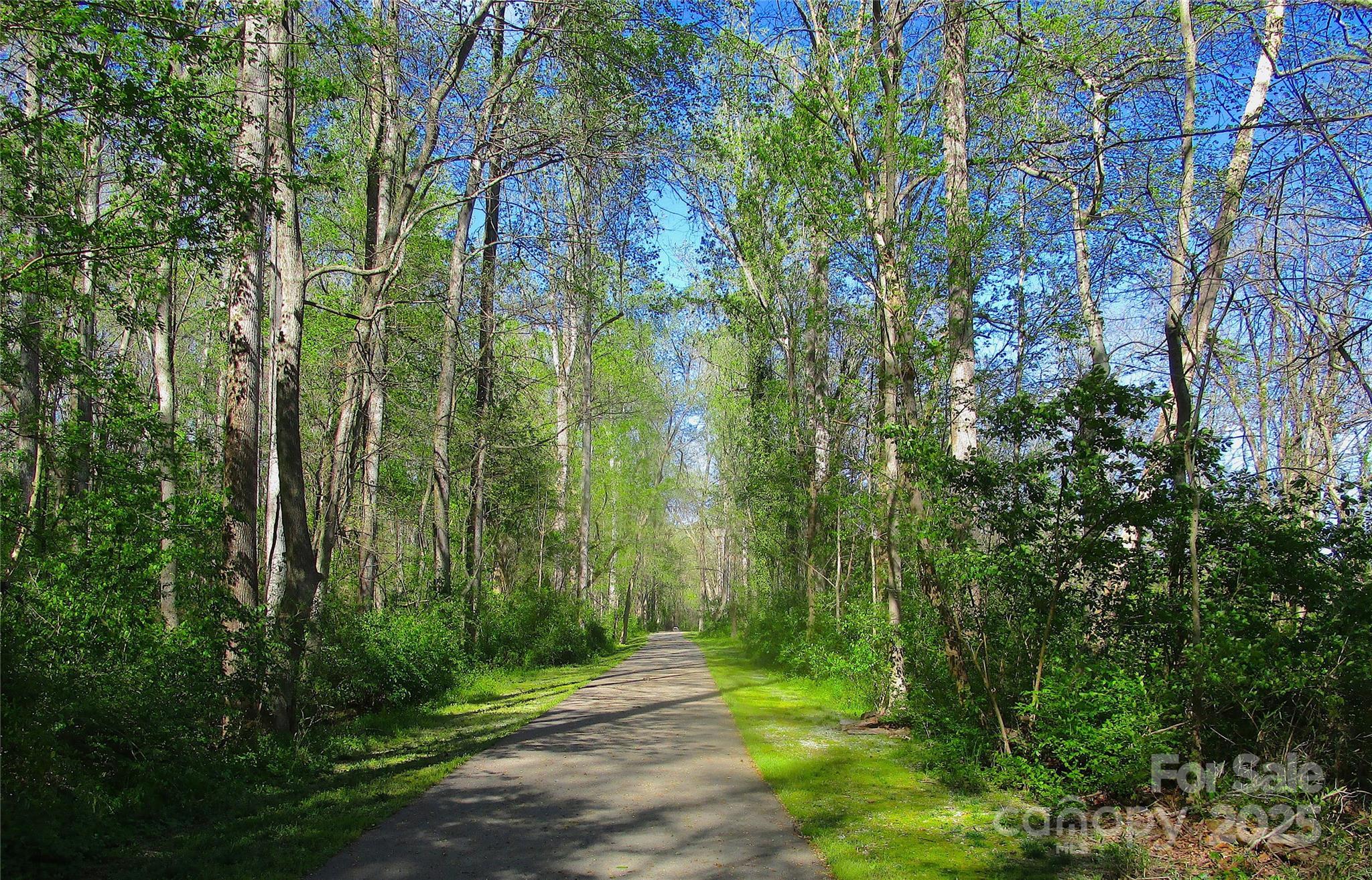 Photo #43