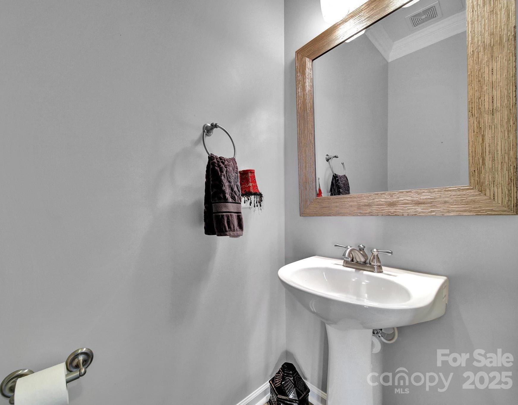 Photo #15
