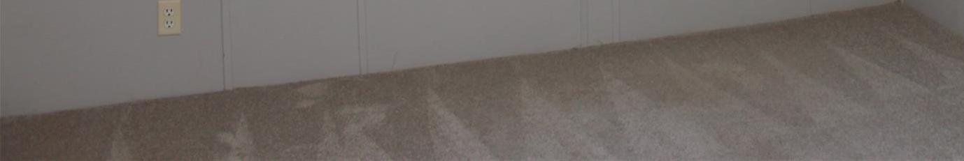 Photo #28
