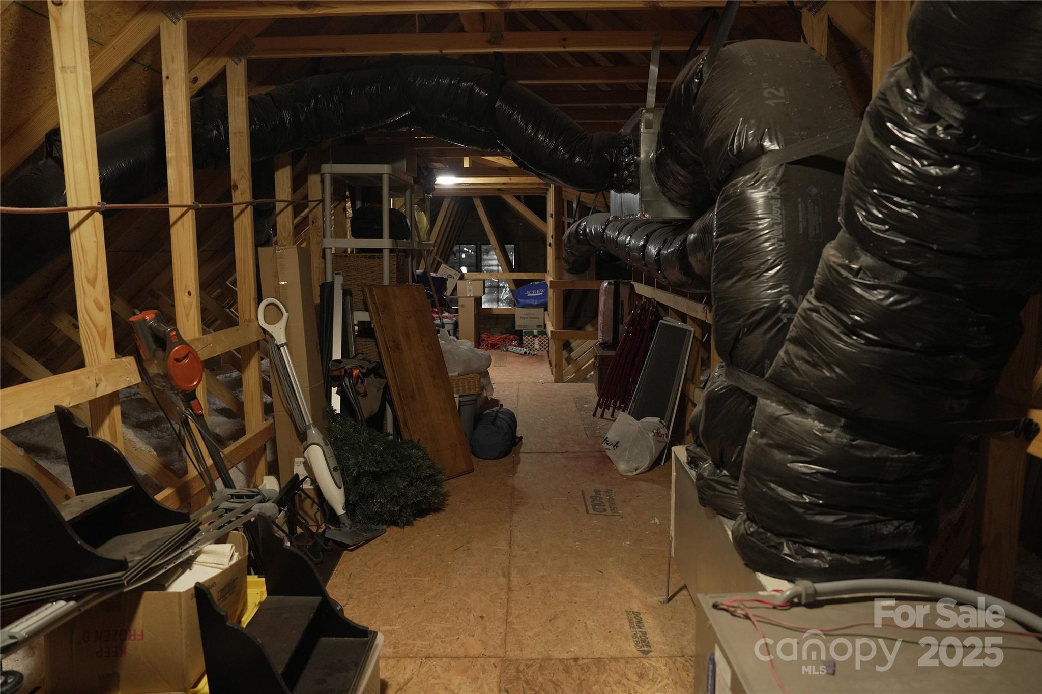 Photo #43