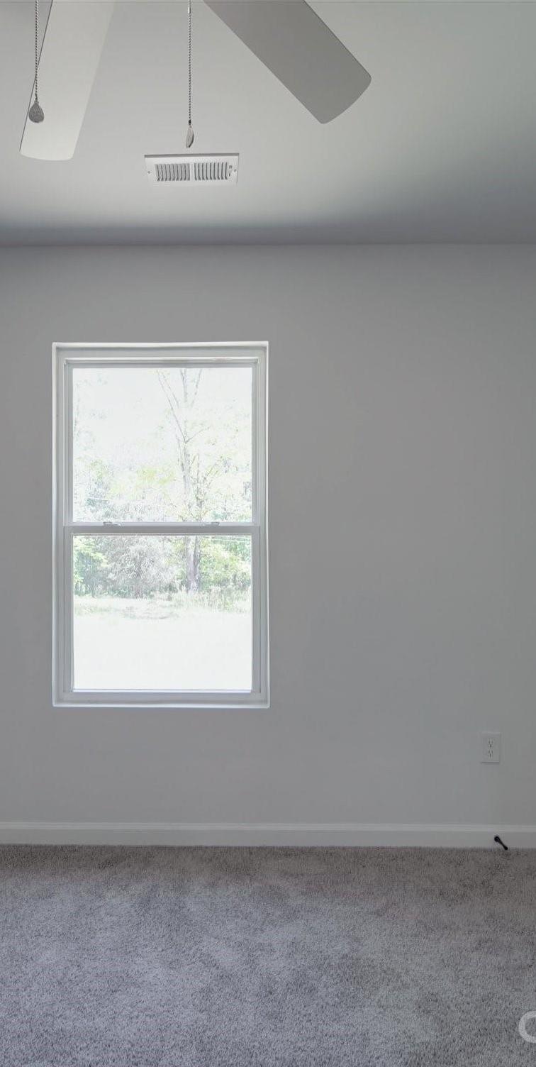 Photo #26